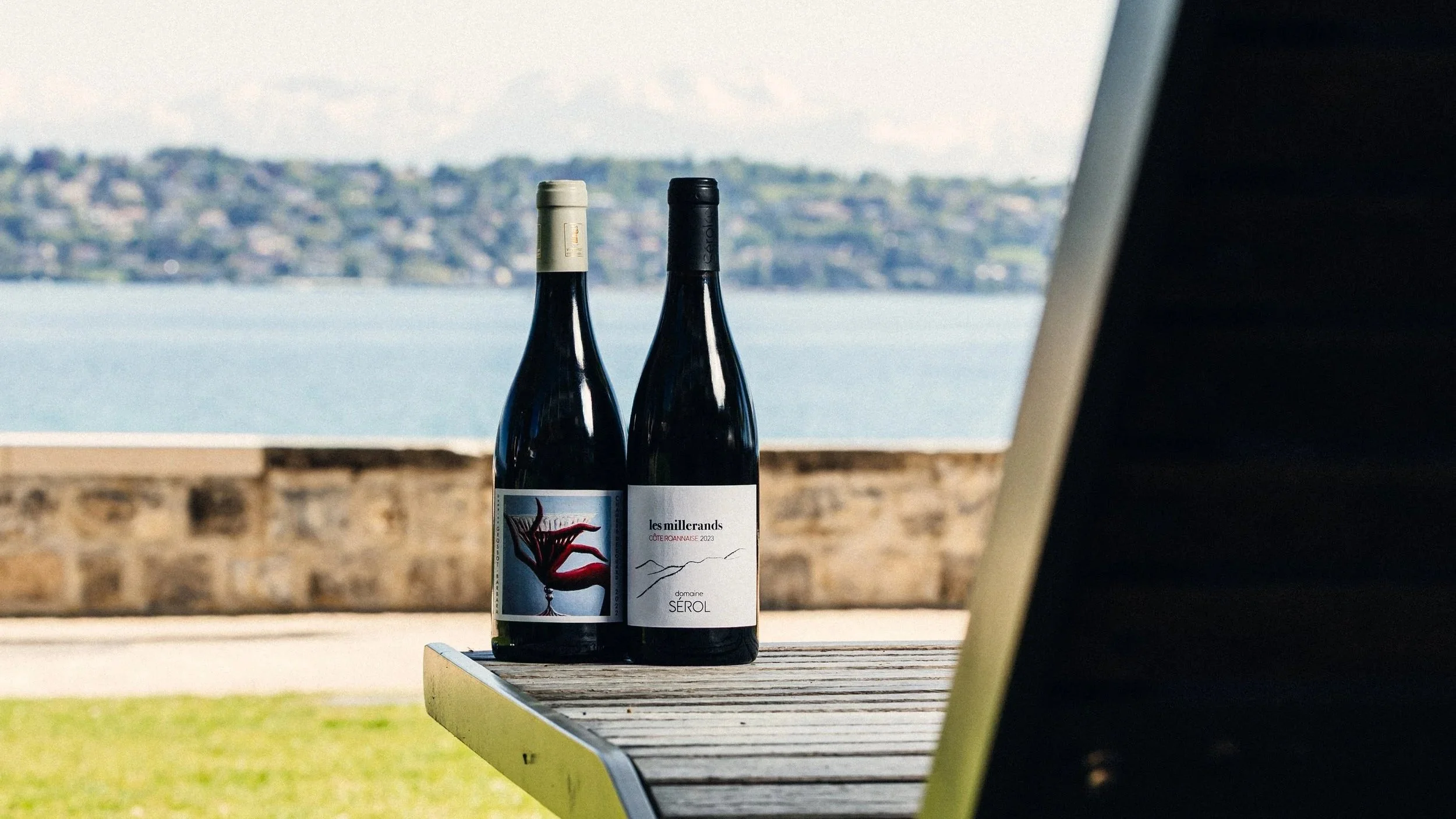 Deux bouteilles de vin posées sur une table en bois, avec un paysage en arrière-plan comprenant un lac et des collines, vue à travers une structure partiellement visible sur le côté droit.
