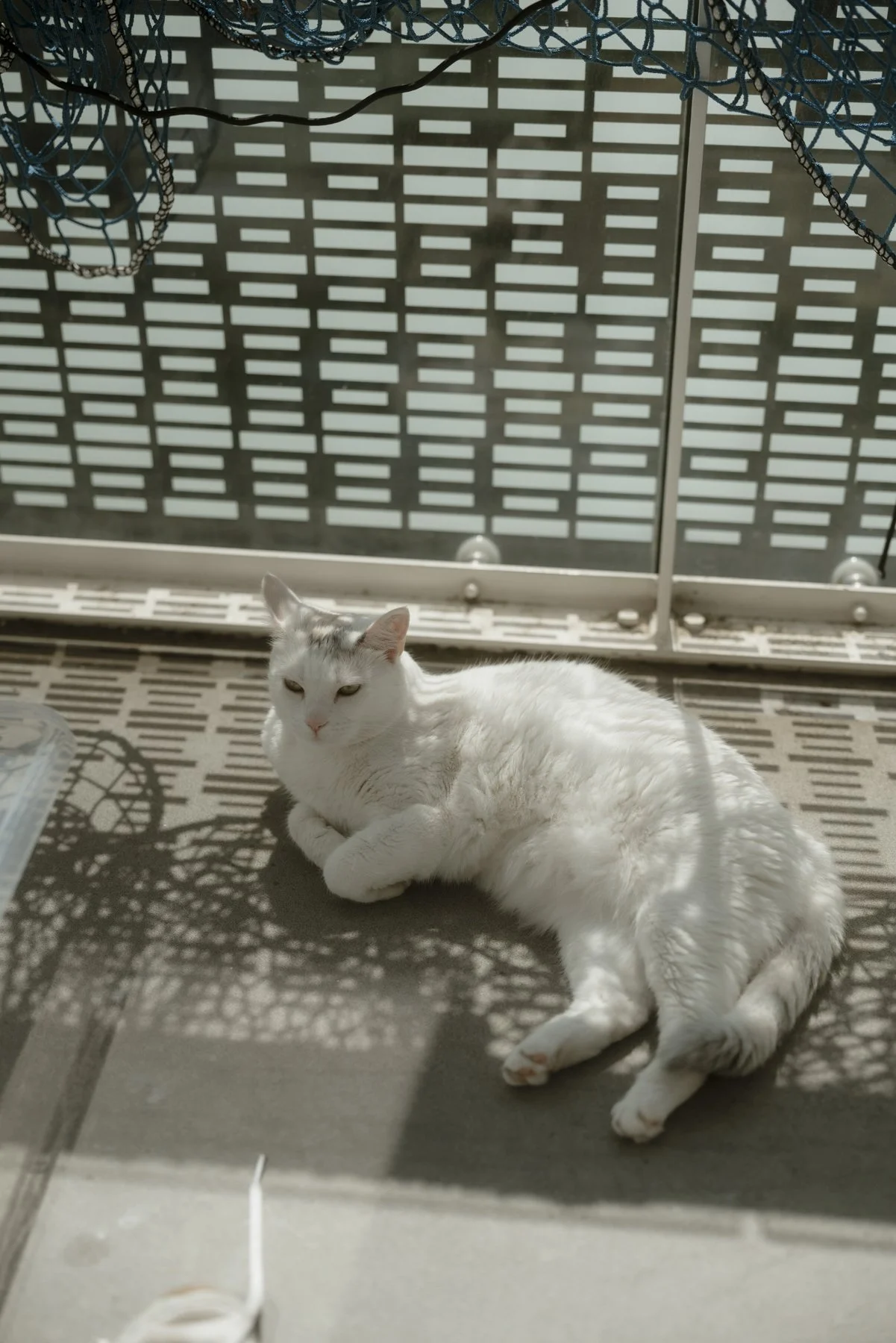 Queer wedding Copenhagen