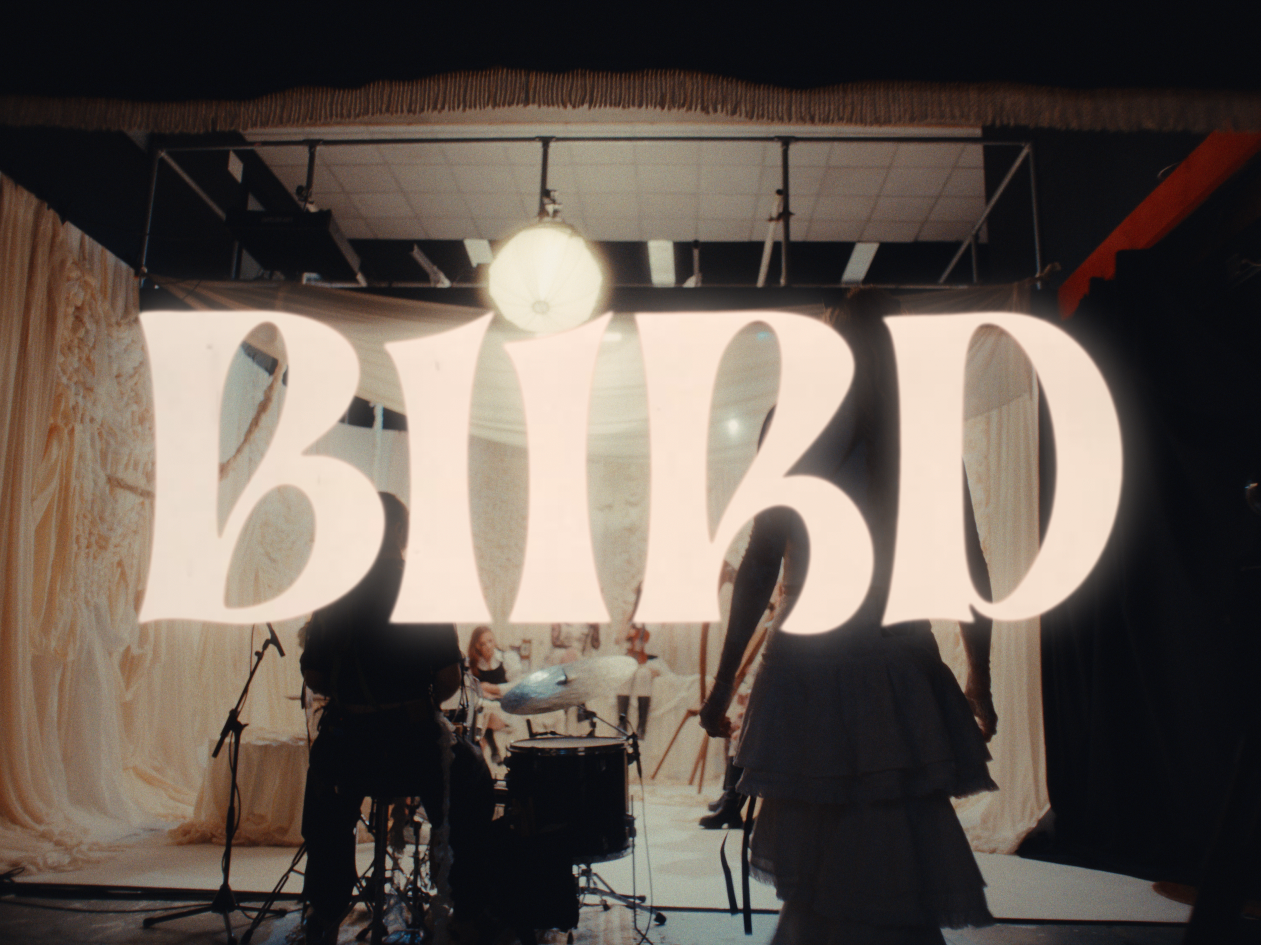 Biird_Love Buzz_Still-3a.png