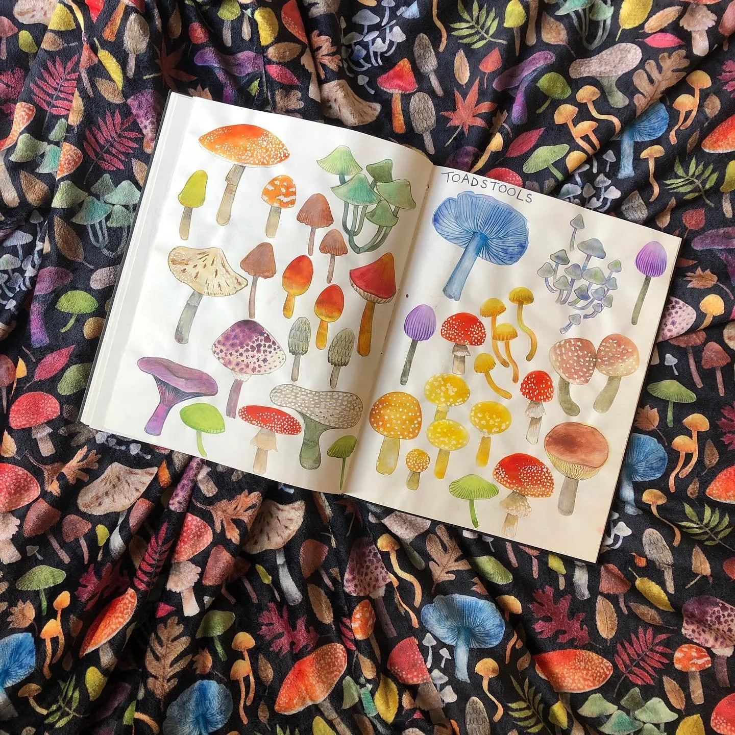 I ordered one of my &lsquo;Watercolour toadstool&rsquo; throw blankets from my Redbubble shop recently and it&rsquo;s just so beautiful, I&rsquo;m thrilled! The print quality and colours are stunning and it&rsquo;s a silky smooth soft warm hug of a b