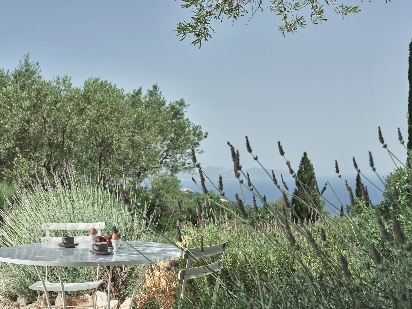 Set beneath olive trees, overlooking the sea &mdash; the kind of place you linger a little longer.
⠀⠀⠀⠀⠀⠀⠀⠀⠀
#VillaLagaria #MediterraneanLiving #SeaViewMoments #OliveGroveVibes #SlowLuxury