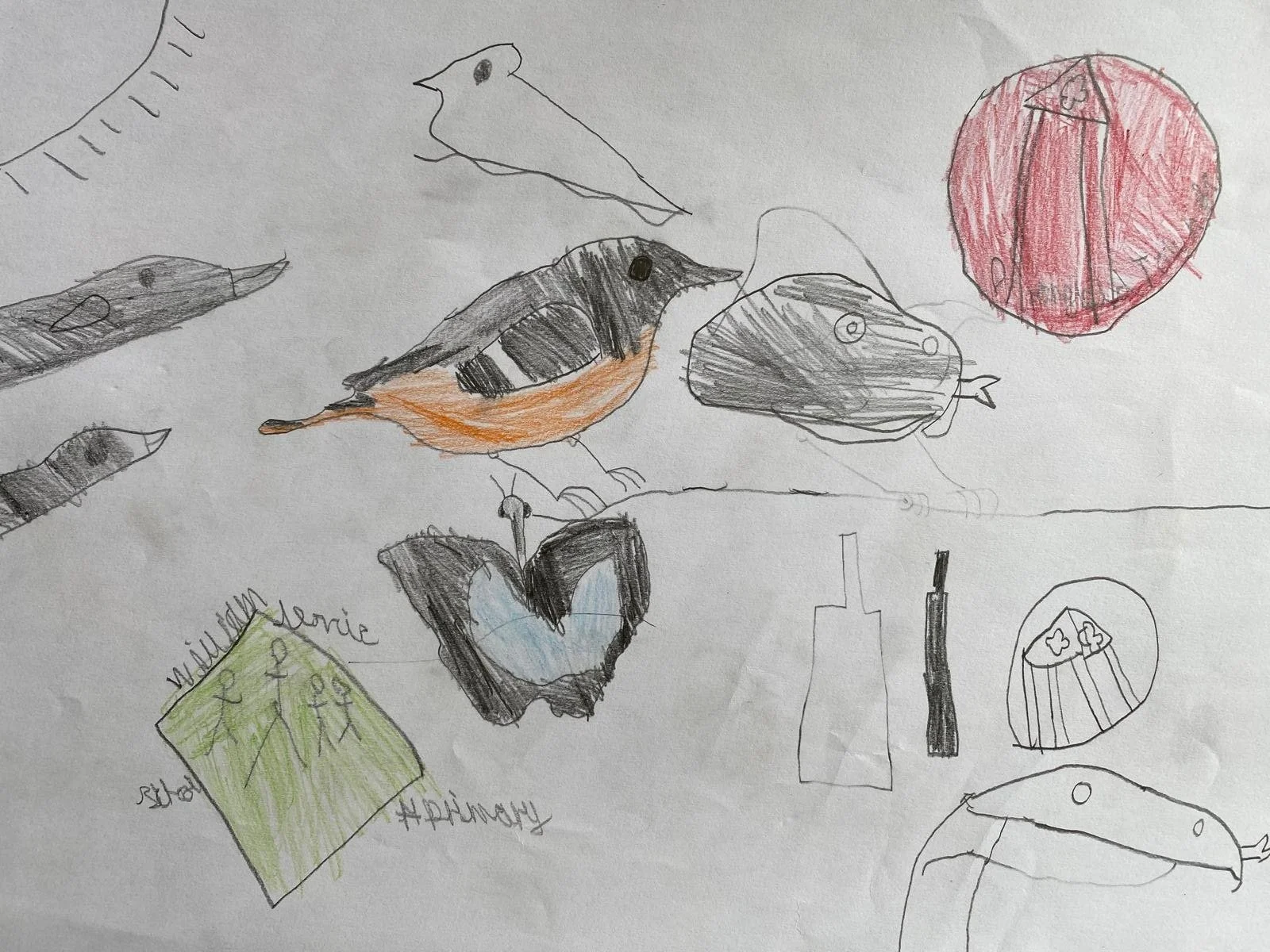 Will T, William Levick Primary