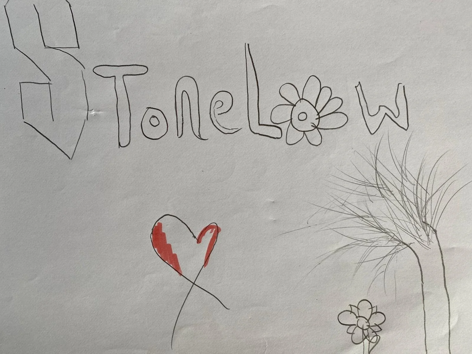Stonelow Primary