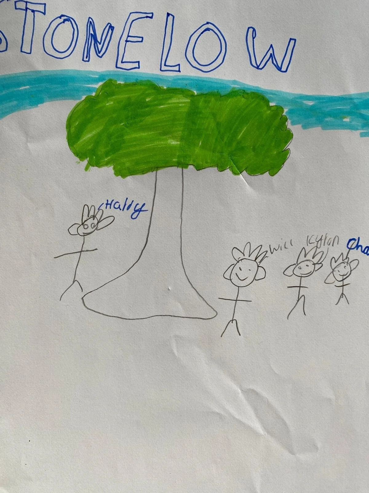 Stonelow Primary
