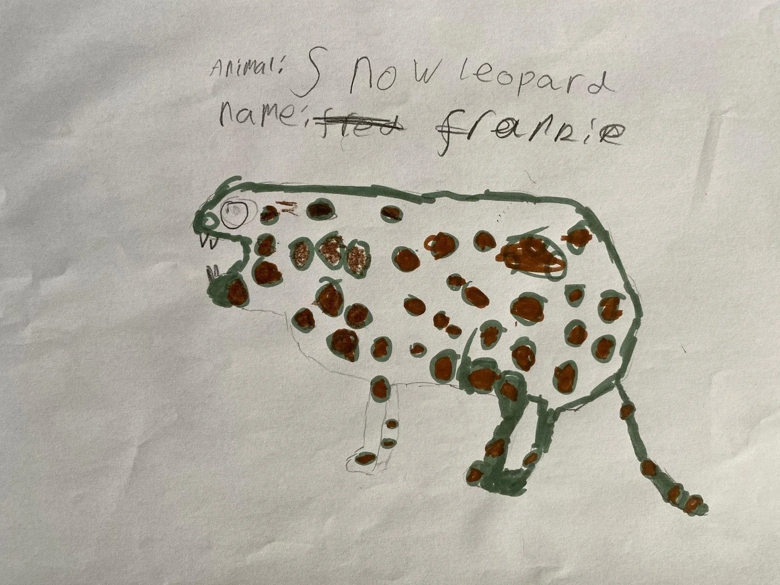 Frankie, Stonelow Primary