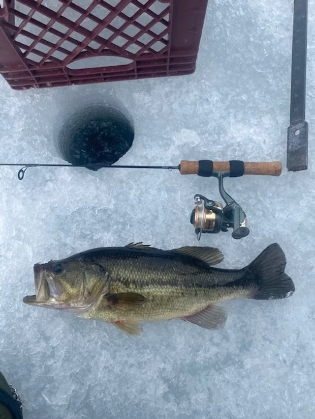 Bass on a short rod.jpeg