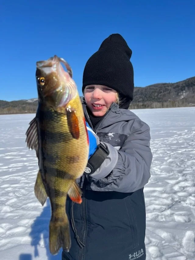 little kid w perch.jpg