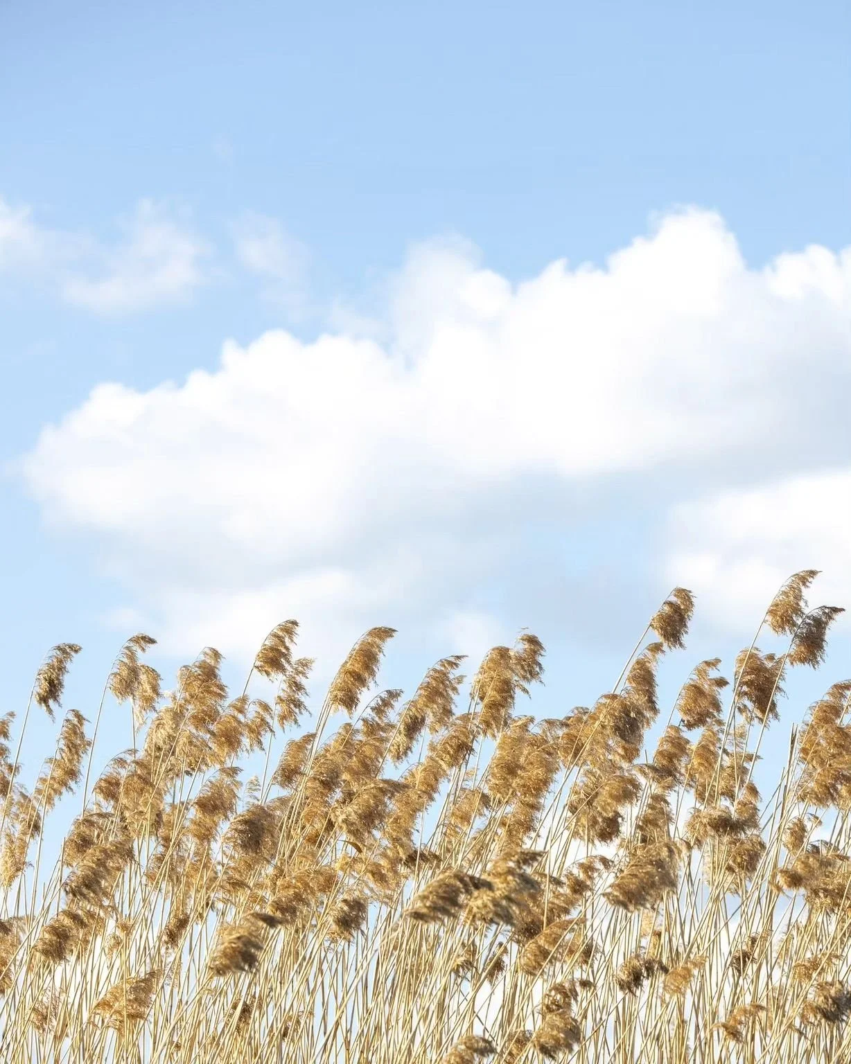 Joka kes&auml; melontak&auml;rp&auml;nen purasee aina v&auml;h&auml;n kovempaa. 🛶 Nyt ekaa vuotta ihan seurassa, Mikkelin melojissa. On muuten hieno laji, kun vesiluonnon p&auml;&auml;see kajakissa kokemaan veden pinnalta ja omassa rauhassa. Eilen o