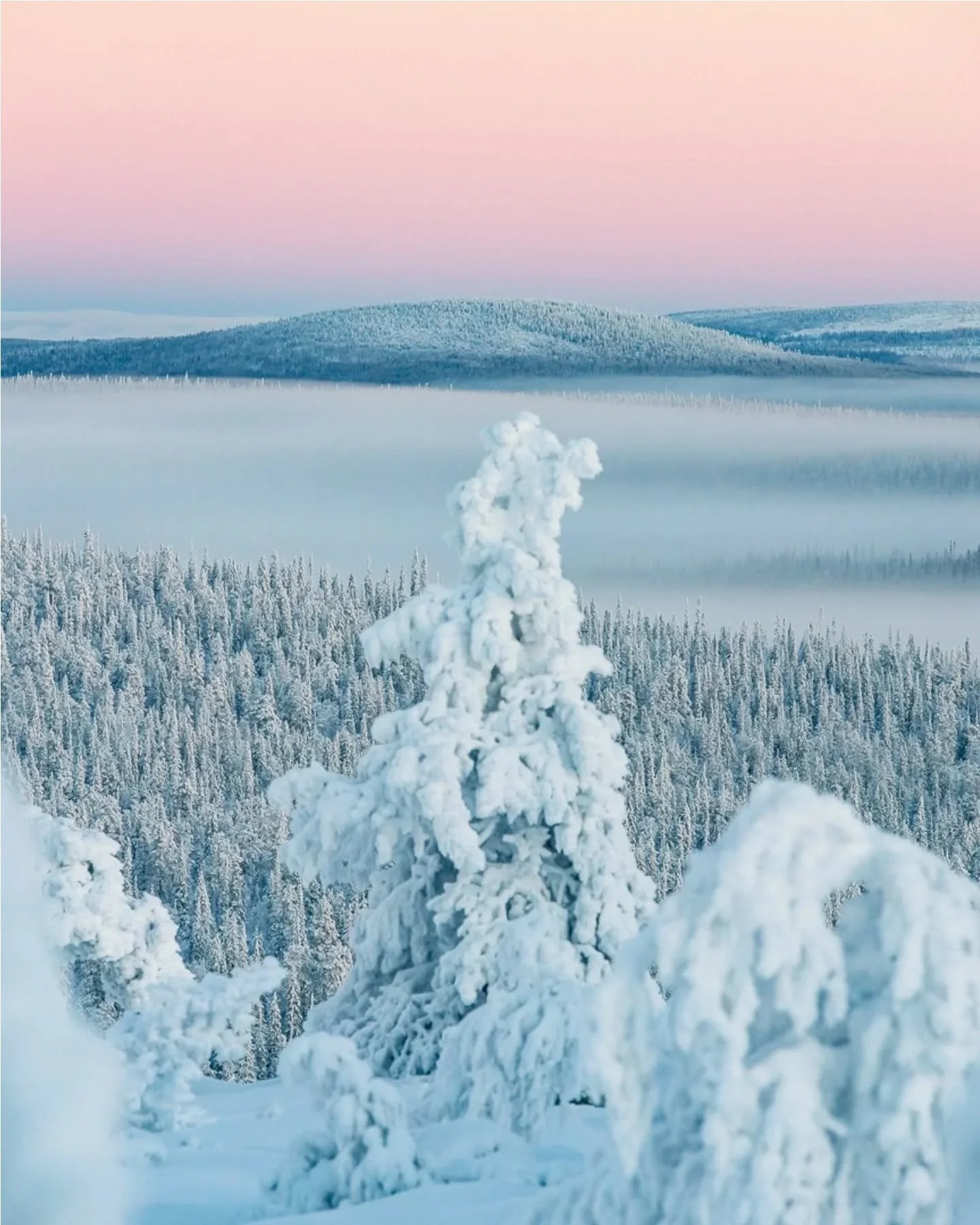 Hyv&auml;&auml; itsen&auml;isyysp&auml;iv&auml;&auml; Suomi! 🇫🇮 
Happy Independence Day Finland!