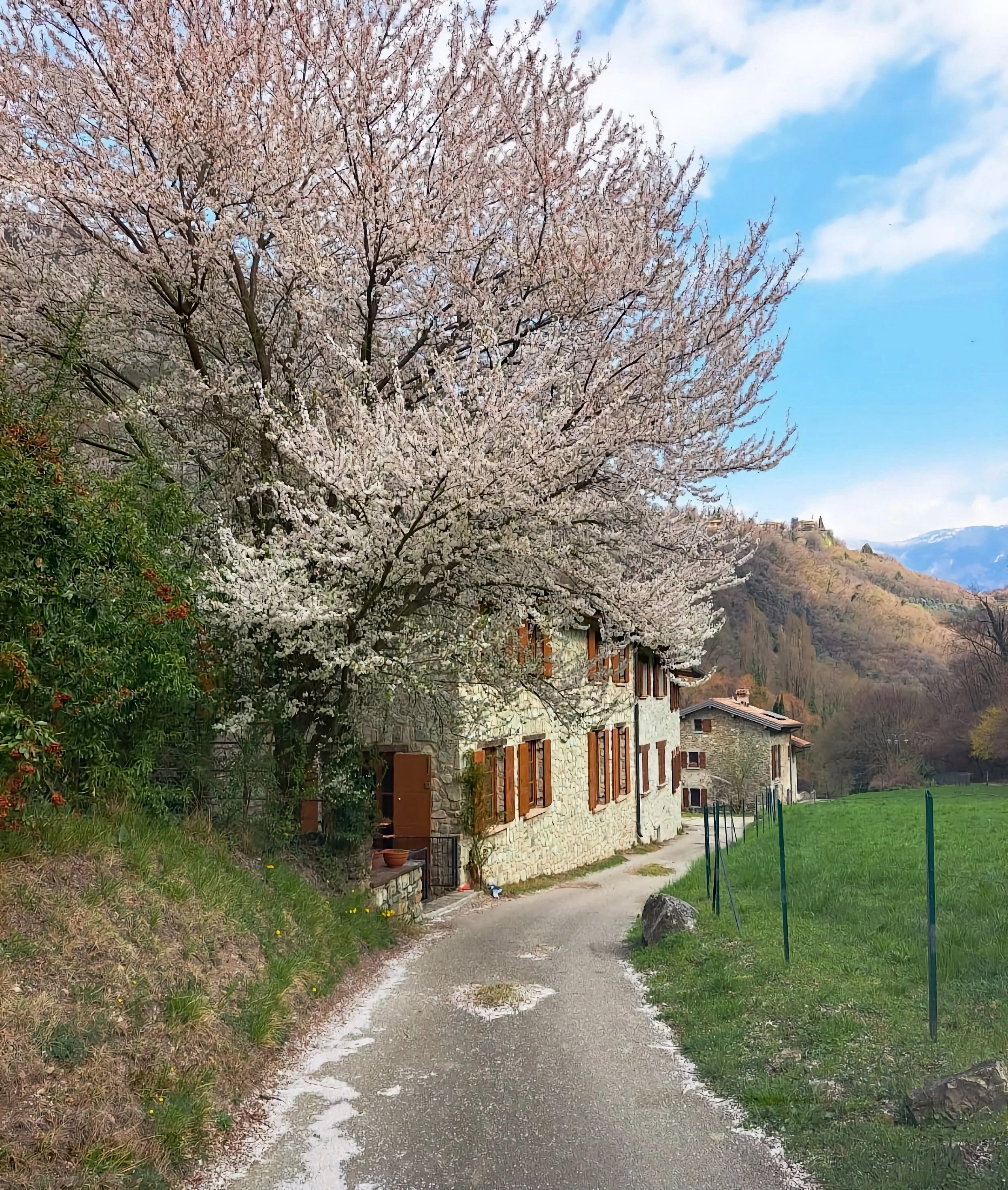 WhatsApp Image 2023-04-29 at 07.29.32 (1).jpg