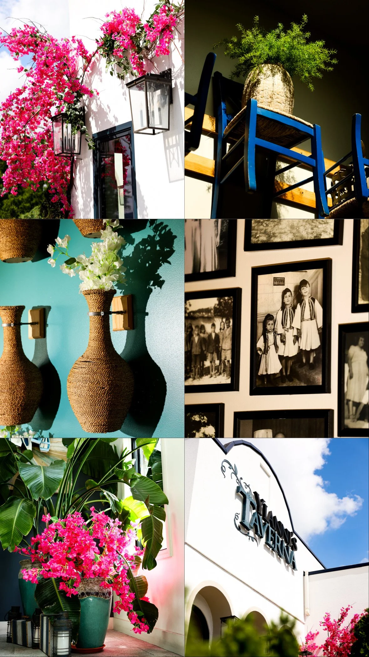 Yianni's Taverna Bethlehem, PA