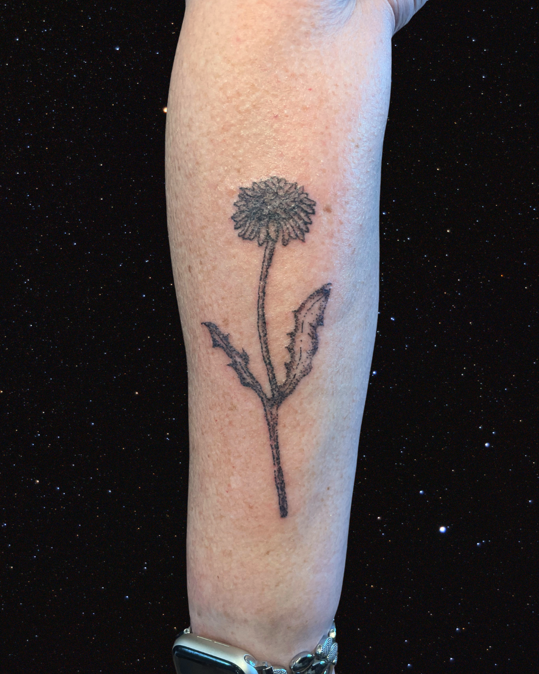 Hand Poked Tattoo of a Dandelion on a forearm