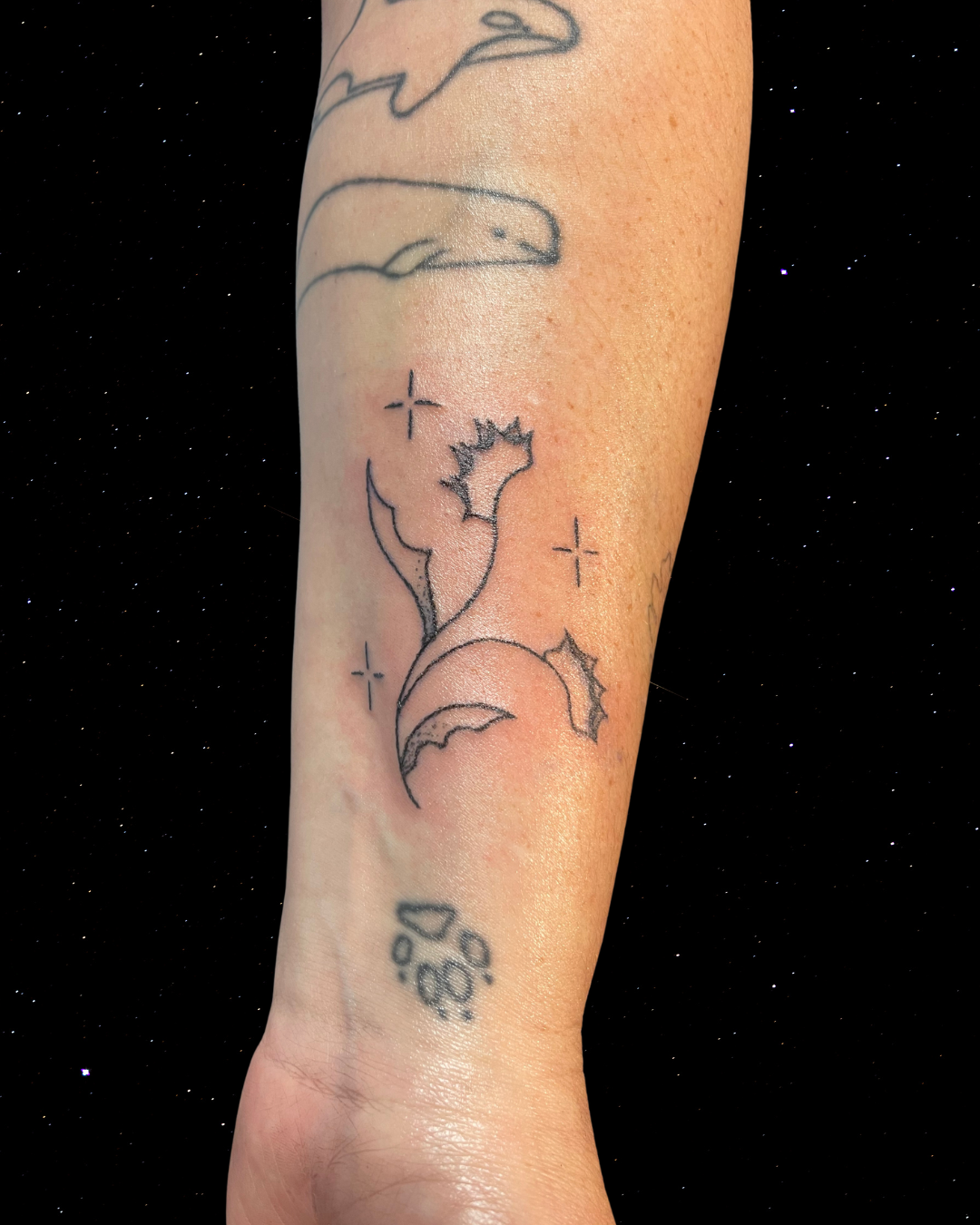 Hand Poke Tattoo of a Venus Fly Trap on a forearm 