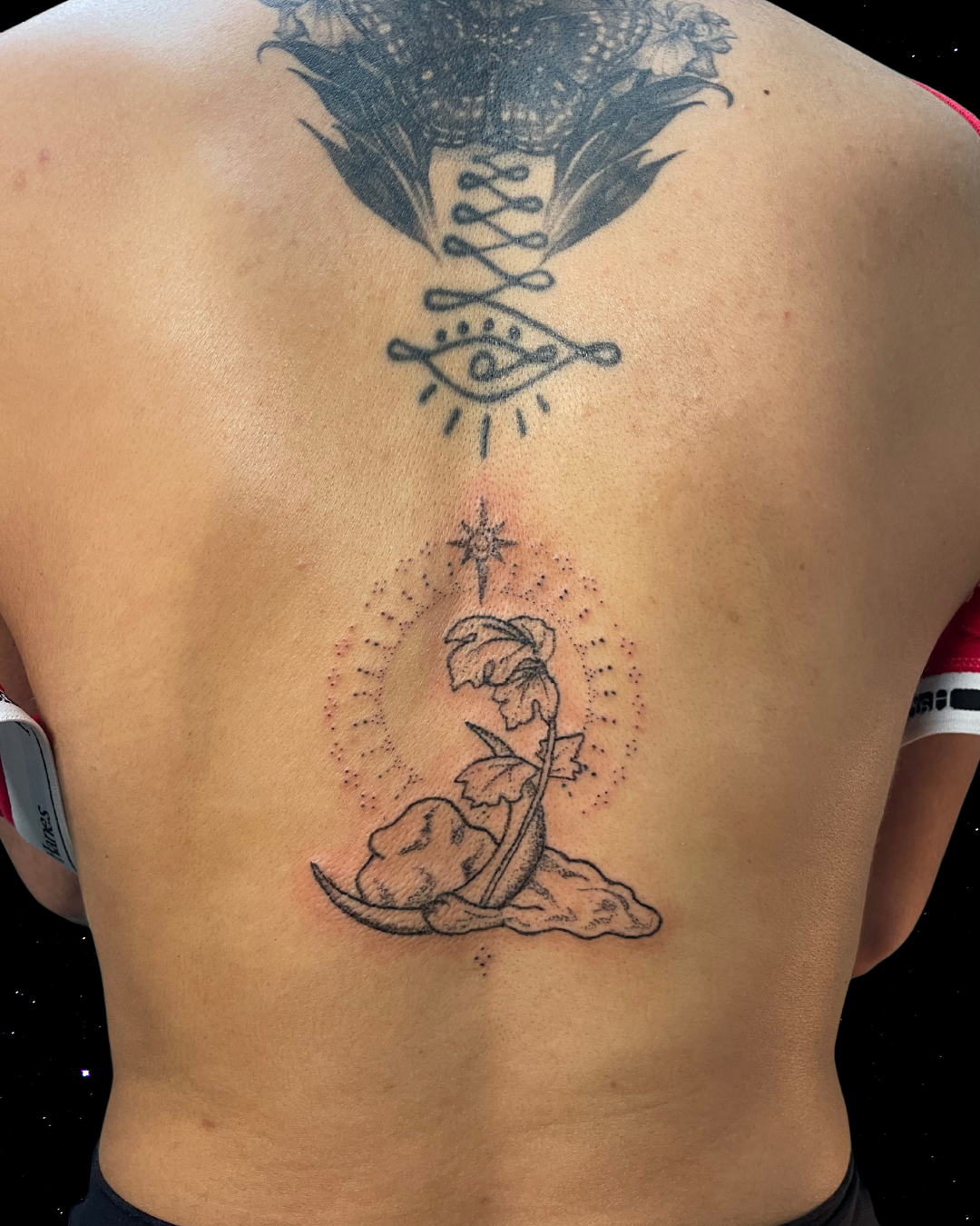 Hand Poke Tattoo on person's back featuring a black outline of a sprouting plant with leaves and a rocking stone, with dotted shading around and a star-like design above it.