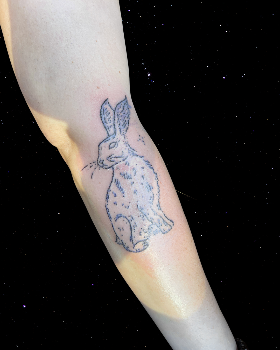 Hand Poked Tattoo of a Hare on a forearm
