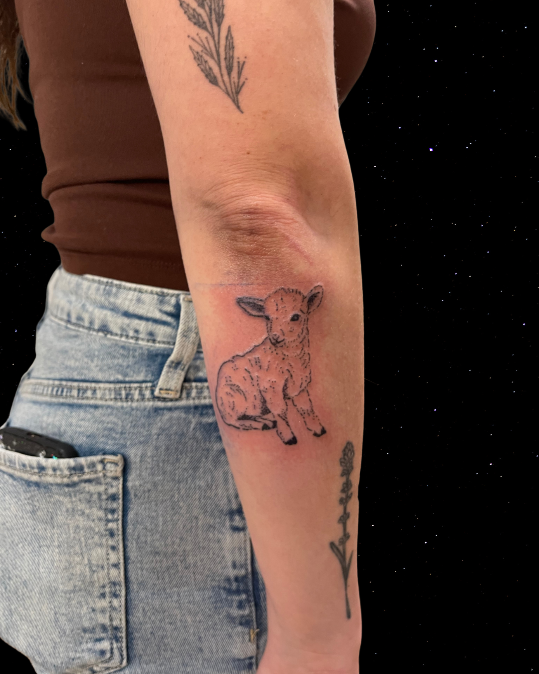 Hand Poked Tattoo of a Lamb on a forearm