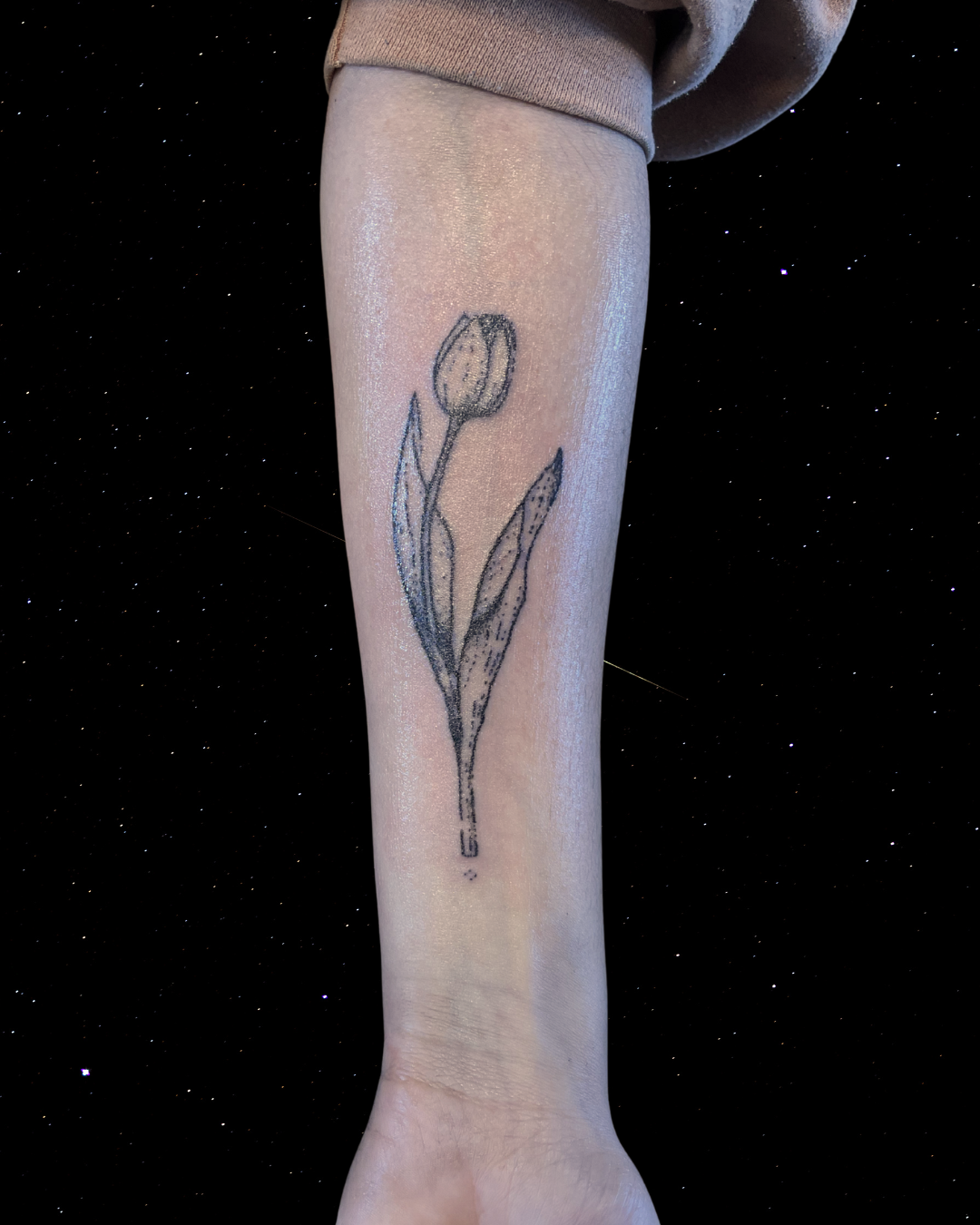 Hand Poked Tattoo of a Tulip on a forearm