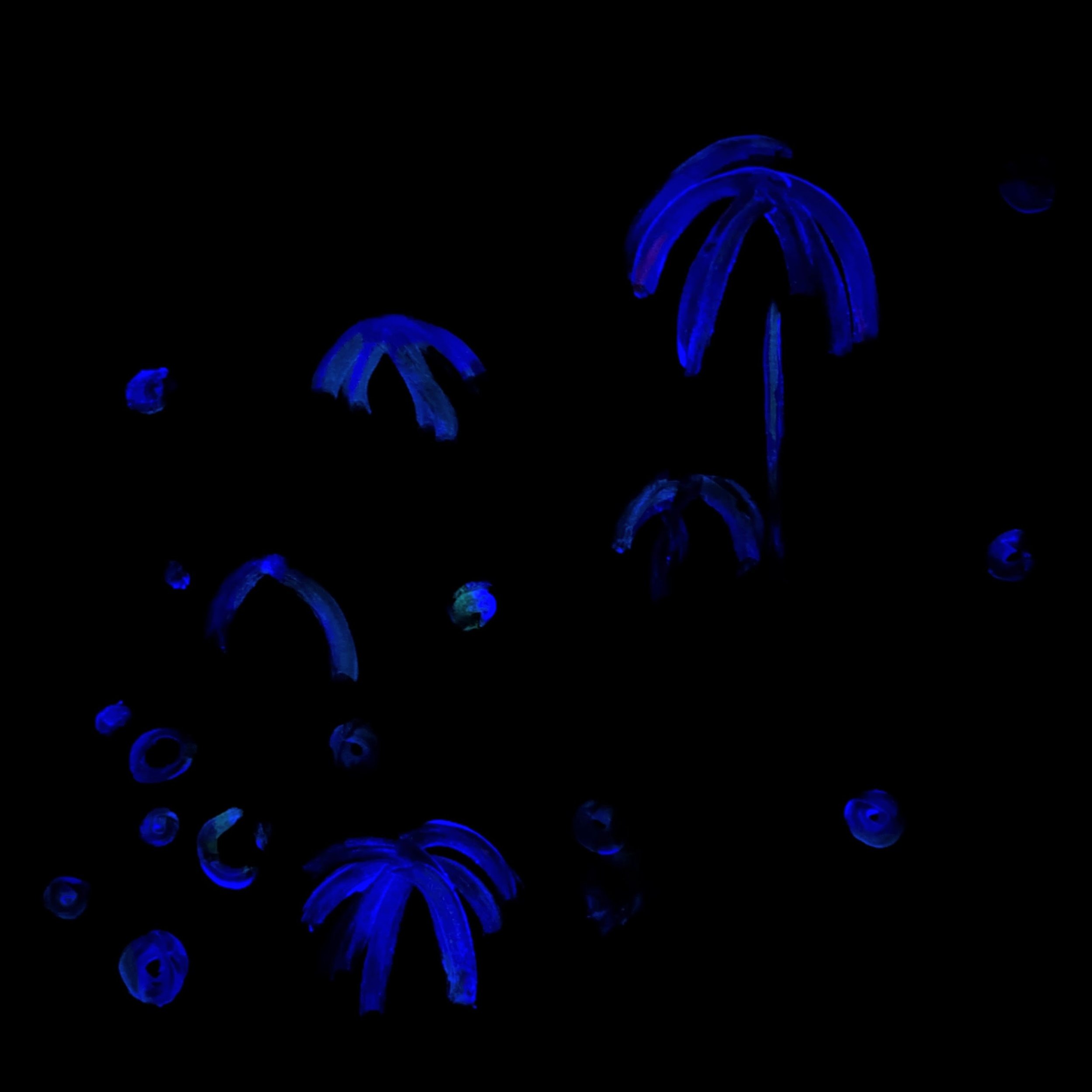 Glow-in-the-dark blue jellyfish with long tentacles floating in dark water.