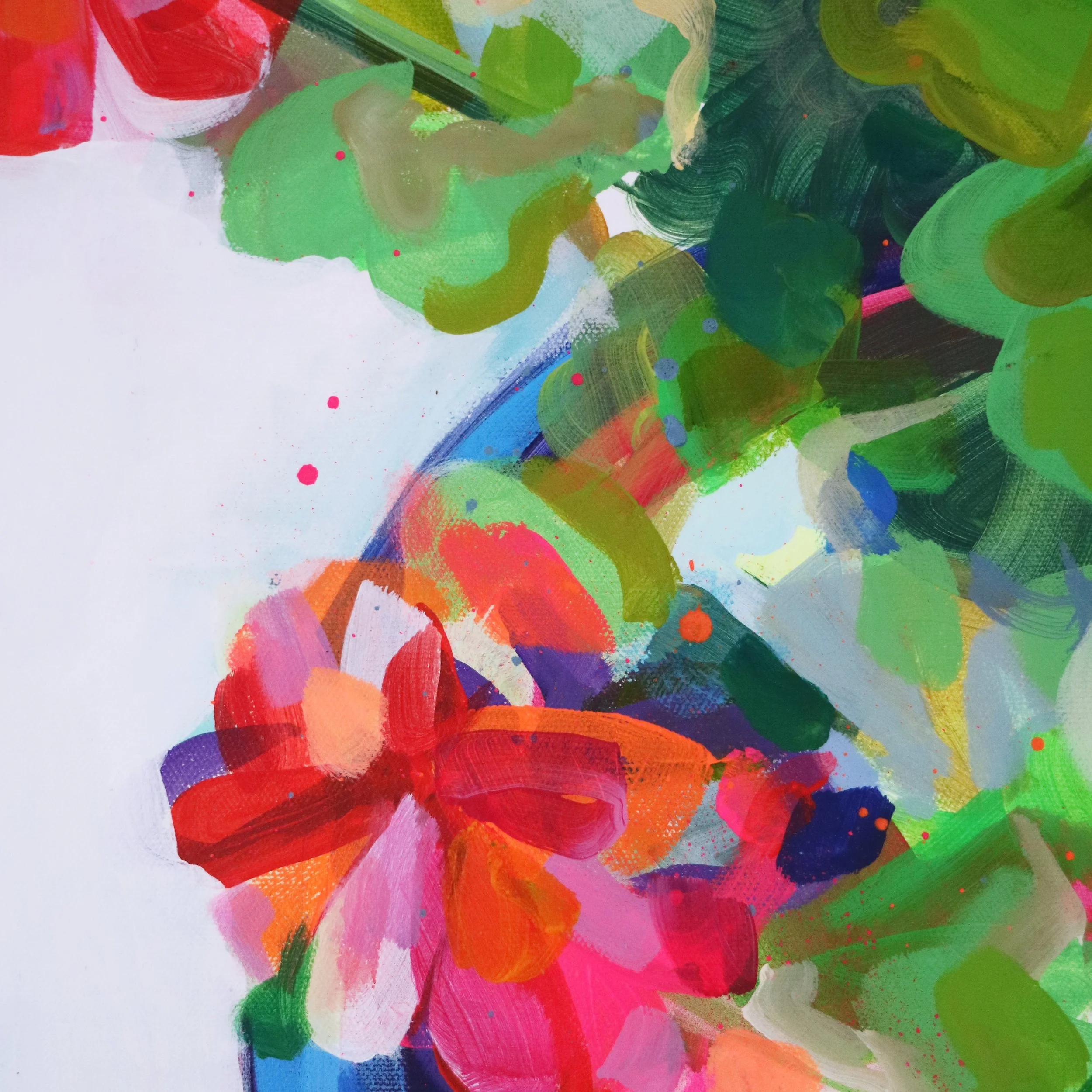 Pelargonium I Amy Wormald.jpg