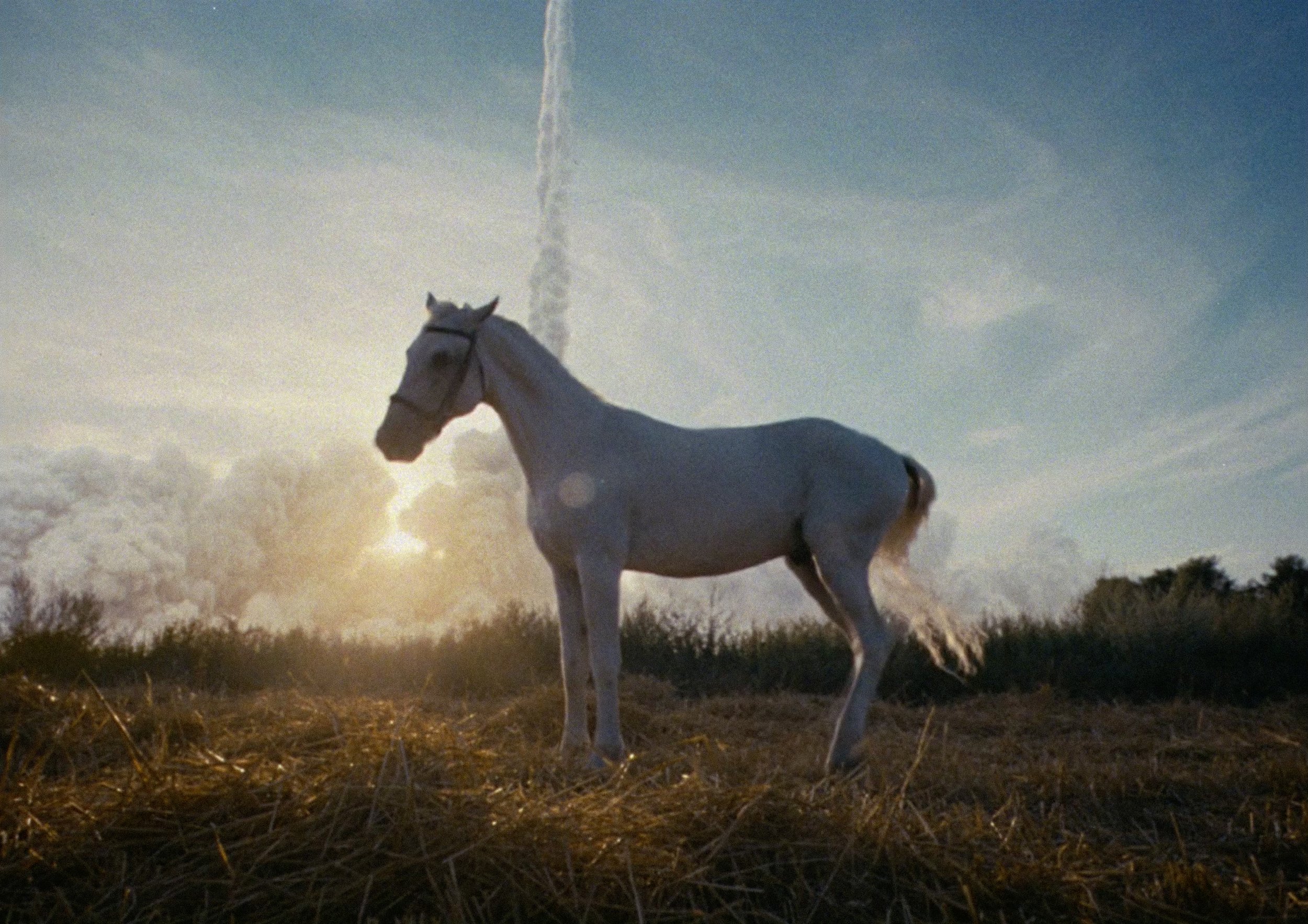 Future of Production: Squarespace’s Sandra Nam on the Nuances of Brand-Side Production