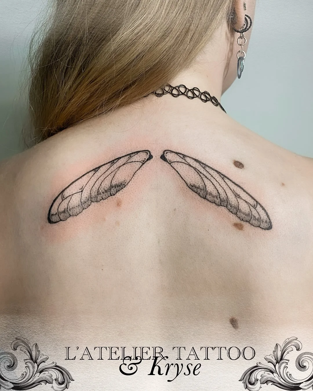 Des ailes pleines de magie et de poésie 
Par @kryse_ttt 
.
@caenjaimemapeau 
@kryse_ttt 
@probodysupply 
.
#fantasytattoo #fairytattoo #tatouage #lyontattoo