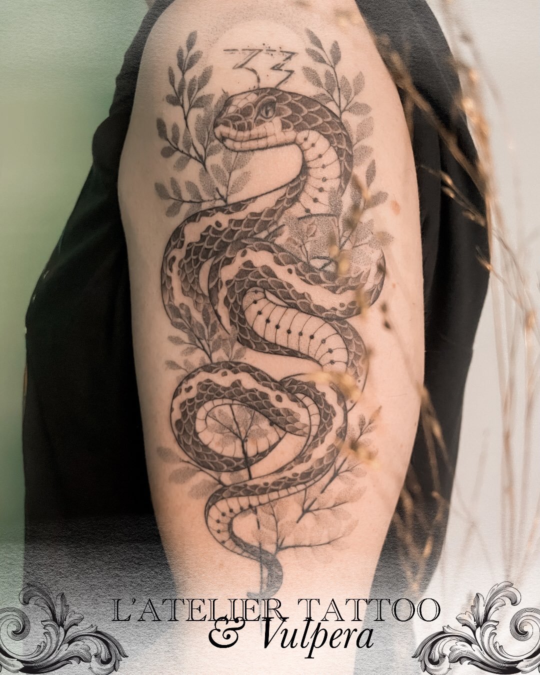 Serpent et foug&egrave;res 🐍🌿 avec une petite r&eacute;f&eacute;rence au jeu 🎮 de l&rsquo;ann&eacute;e 2025 
R&eacute;alis&eacute; par @vulpera_ 
.
@caenjaimemapeau 
@vulpera_ 
@probodysupply 
.
#snaketattoos #lyontattoo #tatouage #clairobscur