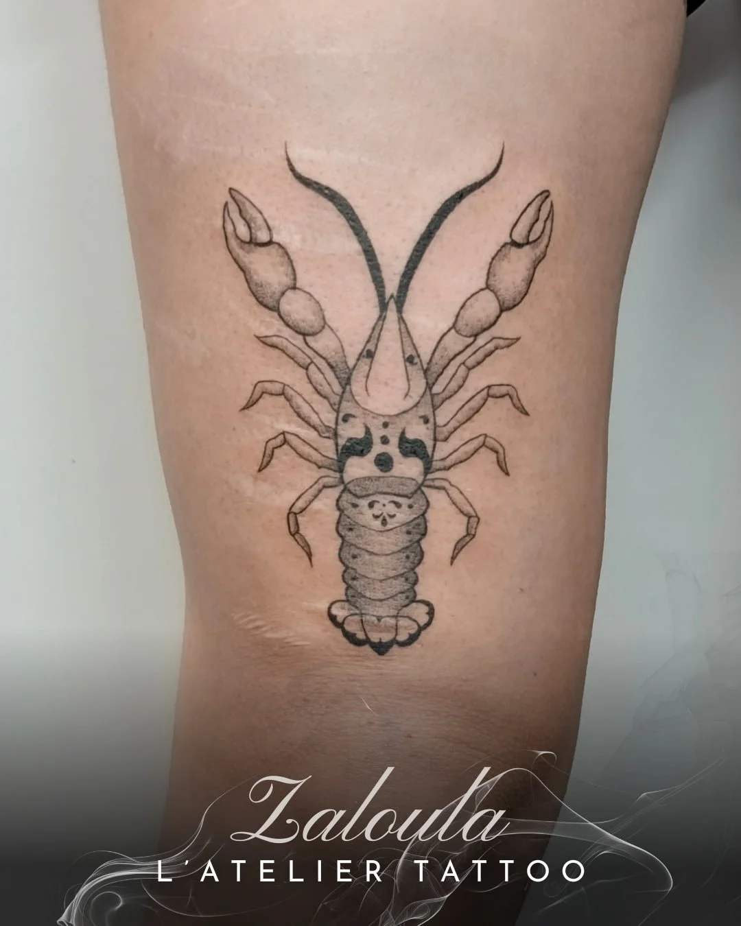 ❖ &Eacute;crevisse ❖ 

Flash r&eacute;alis&eacute; par @zaloula_ 

Une pr&eacute;sence pos&eacute;e avec pr&eacute;cision, o&ugrave; l&rsquo;&eacute;crevisse se d&eacute;ploie naturellement sur la peau. Le dessin joue avec la sym&eacute;trie et le mo