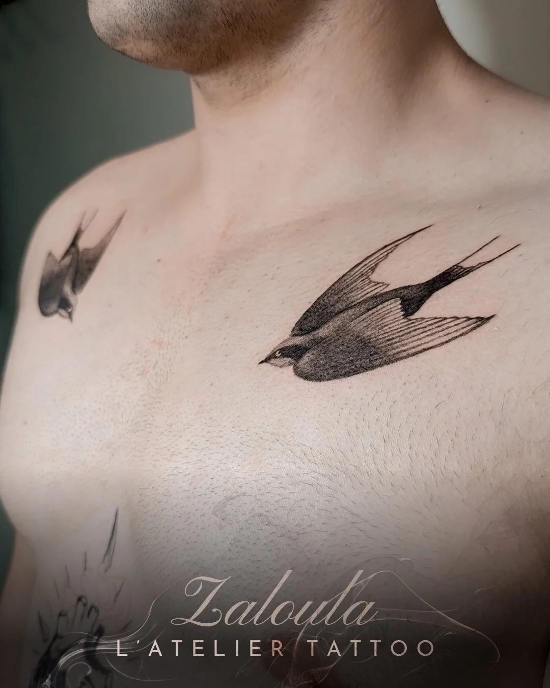 ❖ BIRDS ❖
🪶
Tatouage r&eacute;alis&eacute; par @zaloula_ 

&mdash; en bonus le tatouage r&eacute;alis&eacute; par @madonyourskin parfaitement cicatris&eacute; &mdash;

De l&rsquo;id&eacute;e &agrave; la peau l&rsquo; @atelier.tattoo ❖

@zaloula_ 
@c