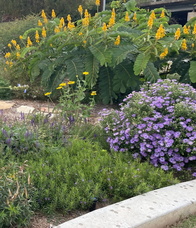 Screen Shot 2023-06-05 at 5.37.49 PM.png