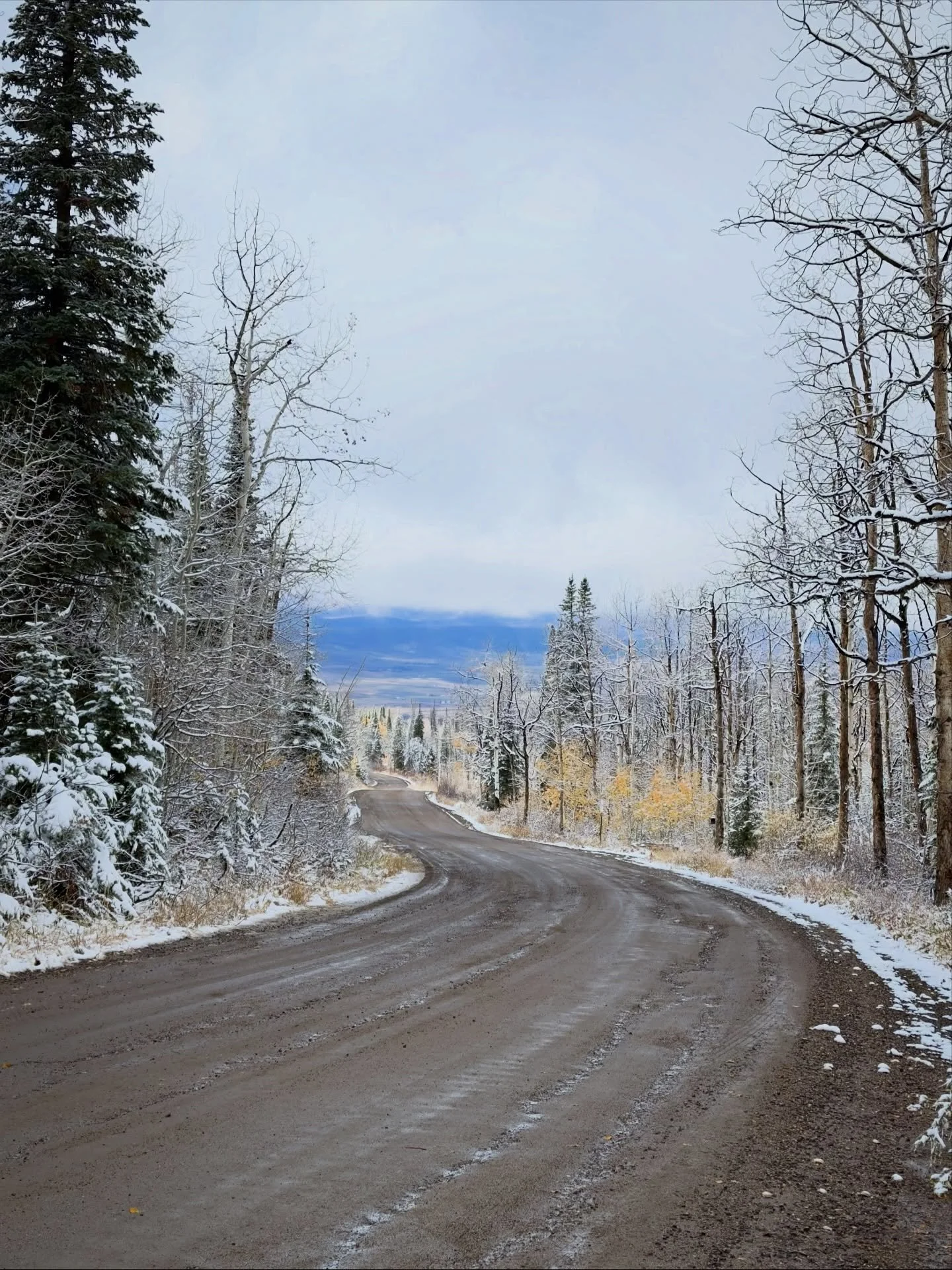 First ❄️ of the season!

The gravel window may be closing here in the &lsquo;Boat for 2025, but the door to 2026 is about to open up here with registration beginning this Tuesday. Who&rsquo;s getting excited!?

#sbtgrvl