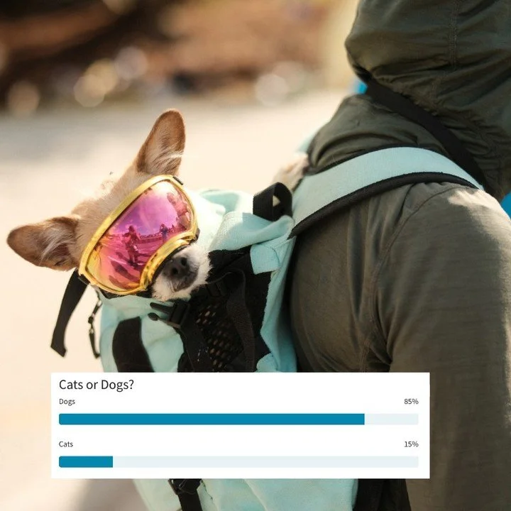 The 'B' in SBT stands for Bark! 
Our recent rider survey revealed we have some serious dog lovers in the mix-- 85% of 2026 riders say they prefer dogs to cats. What do you say&hellip; 🦮 or 🐈?