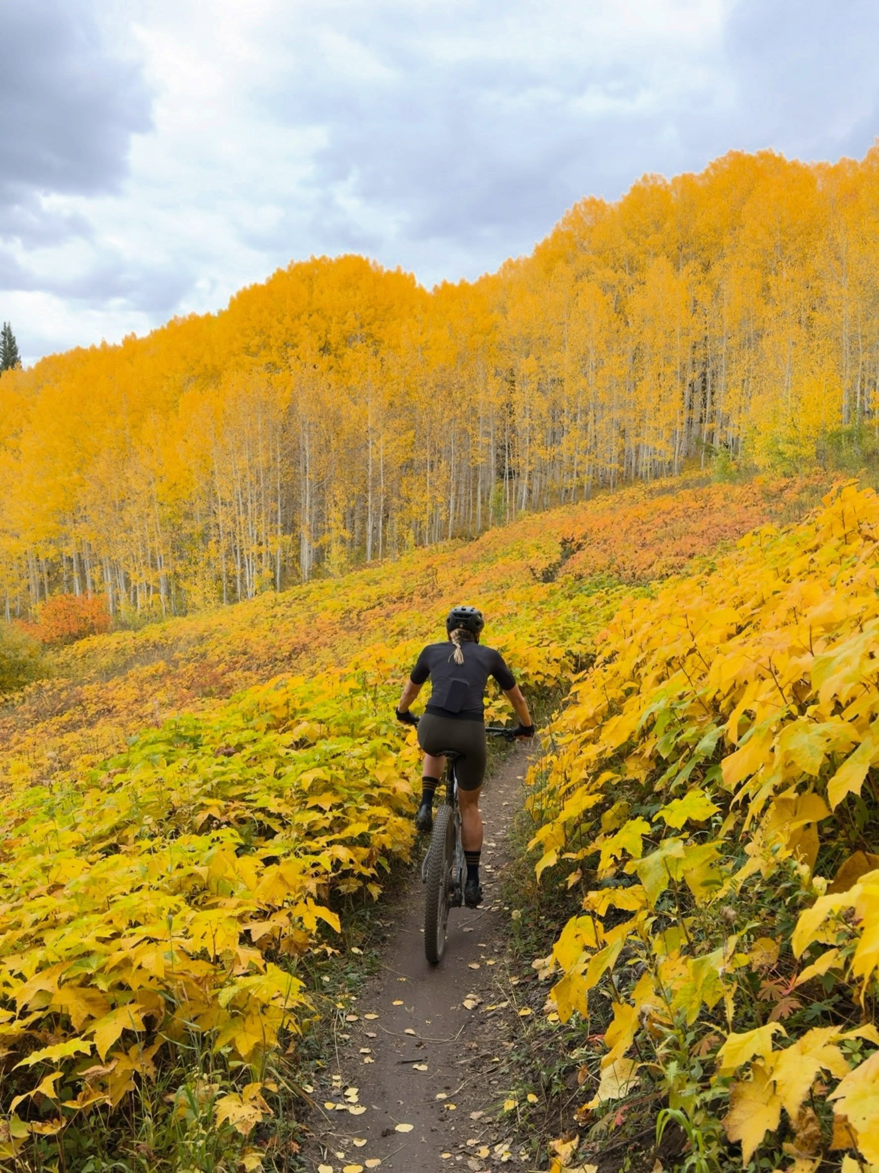 It&rsquo;s that time of year 🙌 We&rsquo;re waiting for the leaves to pop, but what are you working towards now? 

A fall gravel race? Trail runs? Mountain bike season? Cyclocross? Bikepacking somewhere beautiful? Plenty of coffee rides? Spark the ne
