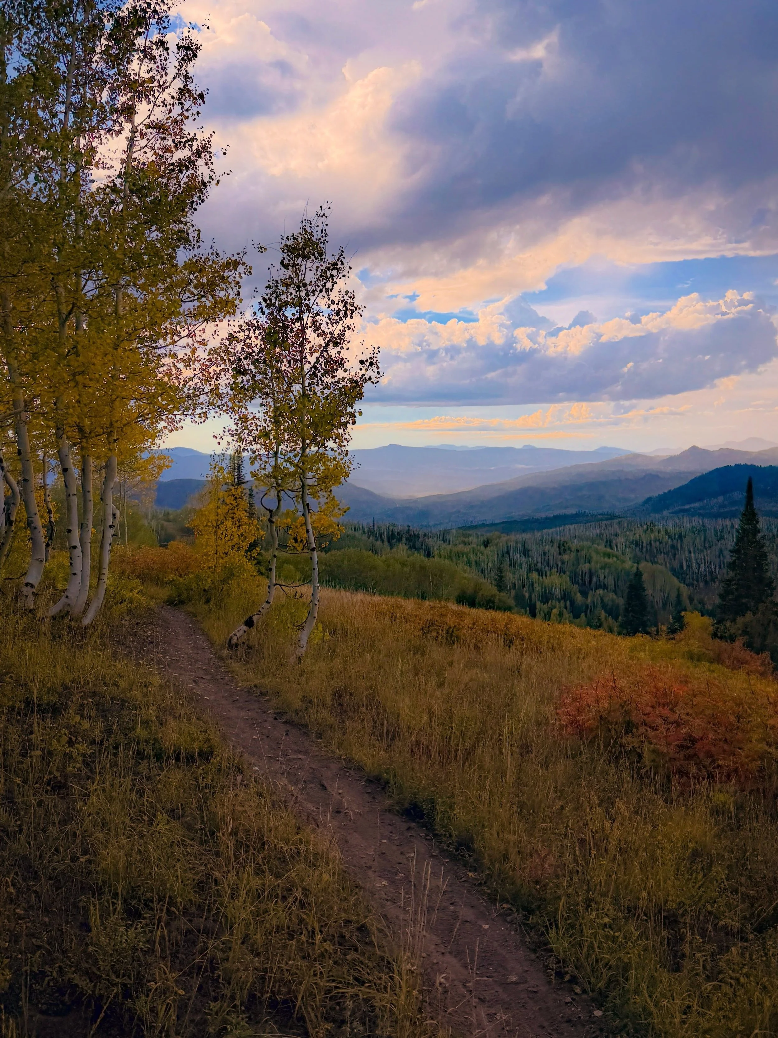 In Steamboat the seasons are a bit like children; we love them all for different reasons and we don&rsquo;t play favorites. That said, if your answer is fall 🍂 we just might have to agree with you. 

What&rsquo;s you&rsquo;re favorite season in Stea