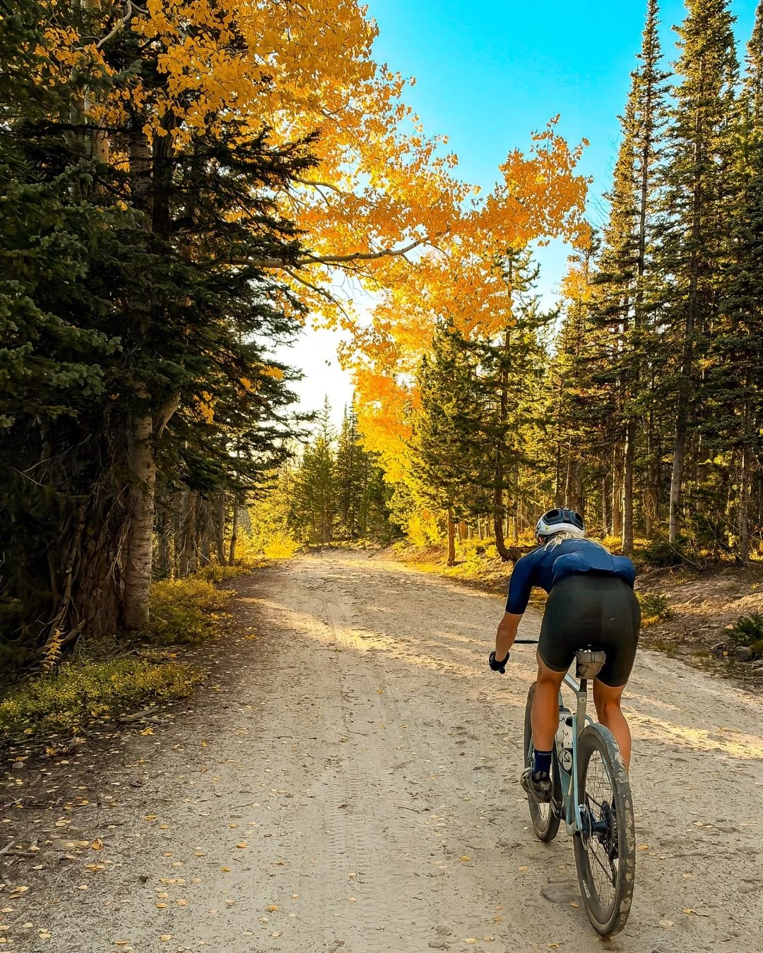 Routt County is putting on a show! Golden aspens, crisp air, and gravel roads in prime condition.

 If you&rsquo;ve been waiting to get to the mountains for the perfect ride, this is your sign. The autumn riding window may be closing soon, but regist
