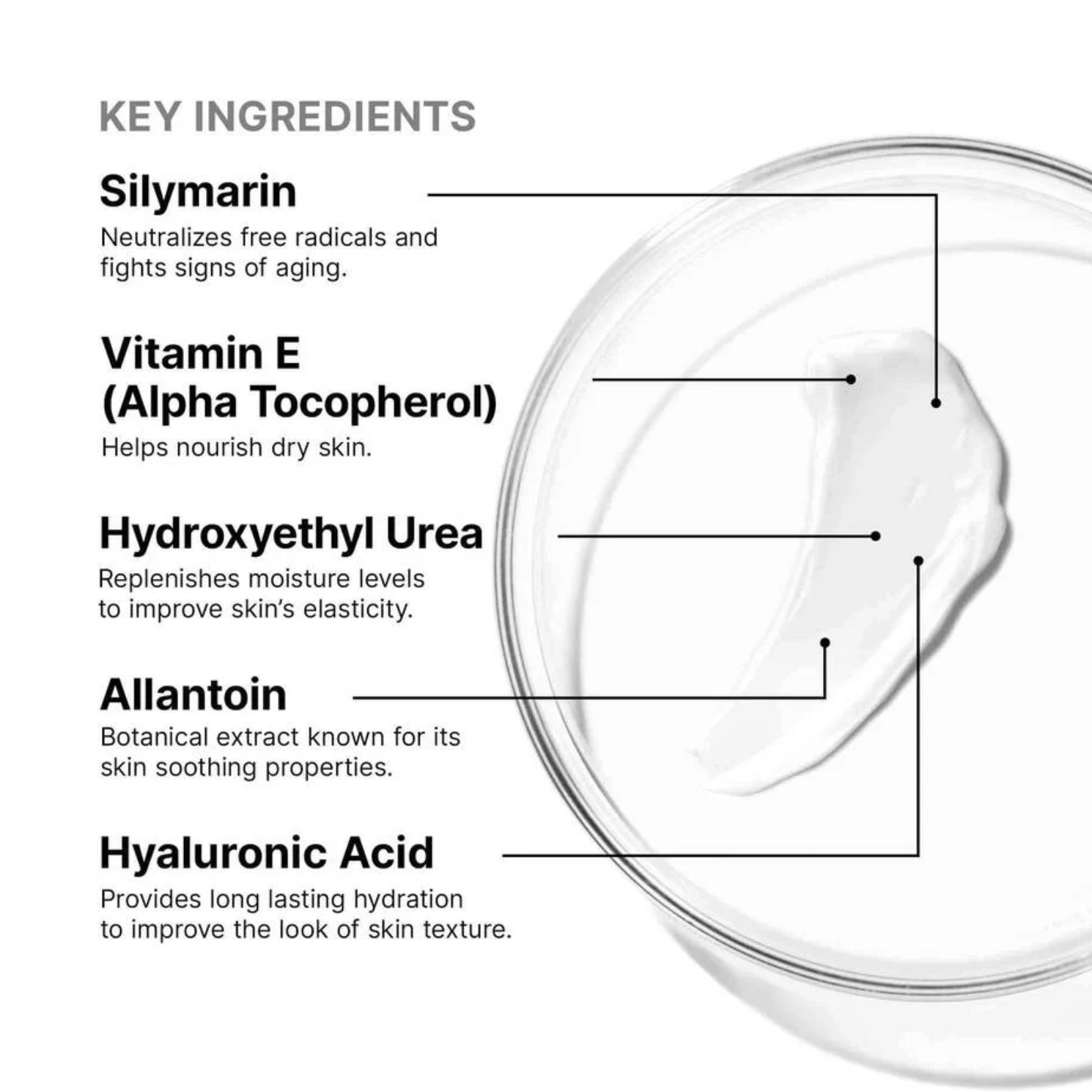 Screenshot 2026-03-22 at 4.32.07 PM.png