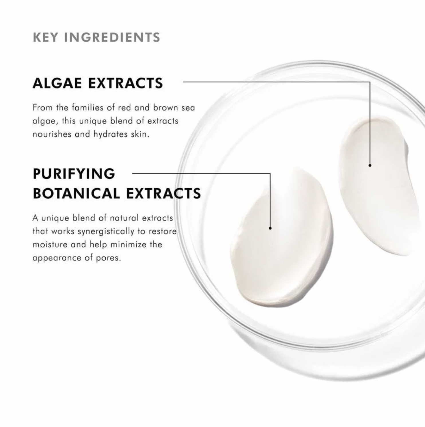 Screenshot 2026-03-22 at 1.14.52 PM.png