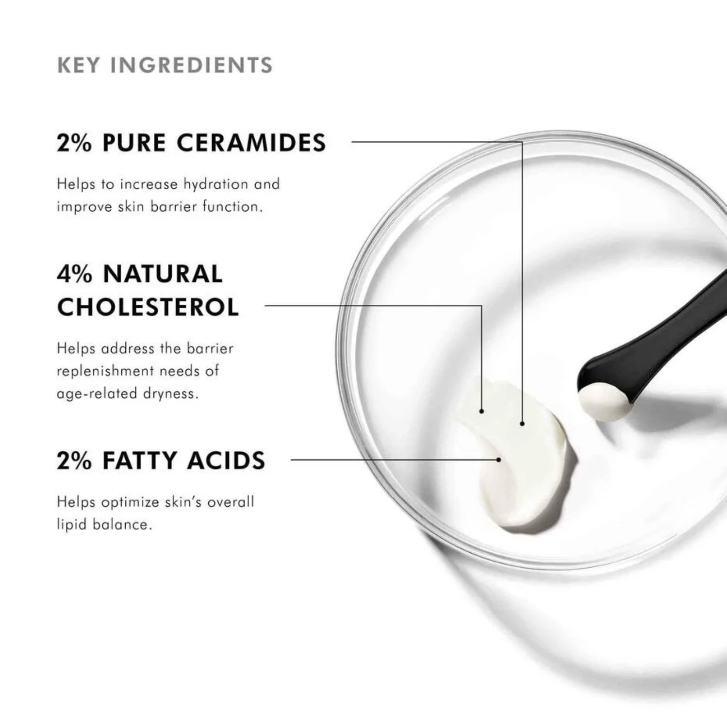 Screenshot 2025-12-20 at 4.23.35 PM.png