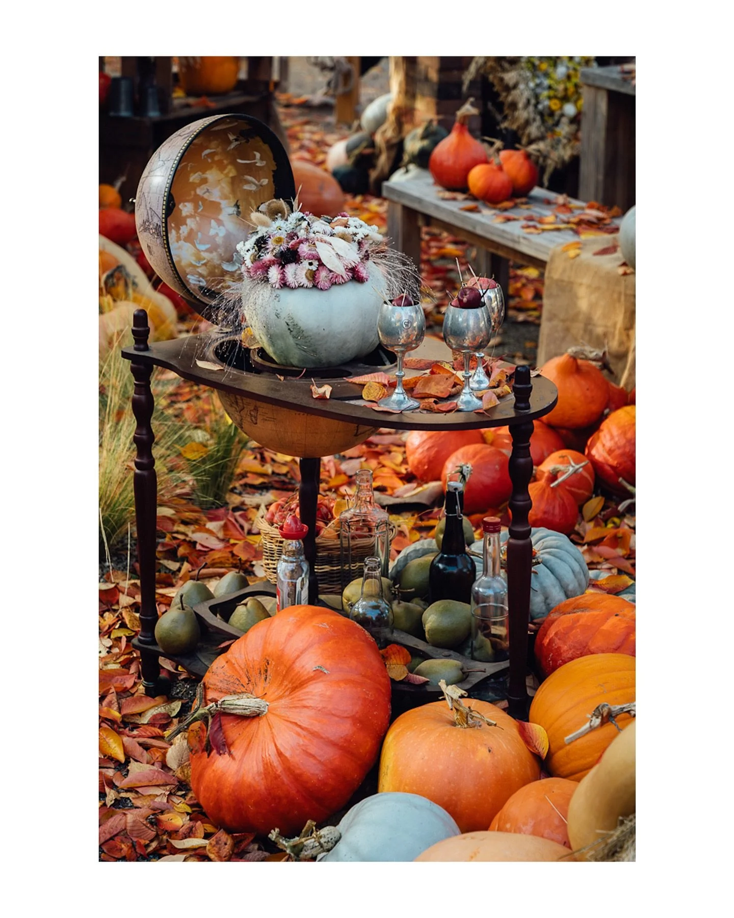 This brilliant harvest banquet display at RHS Wisley was so eye-catching with all the colour and creativity bursting out of the scene.

As always, a fantastic place to visit and explore incredible gardens. You might take a hundred photos like I did. 