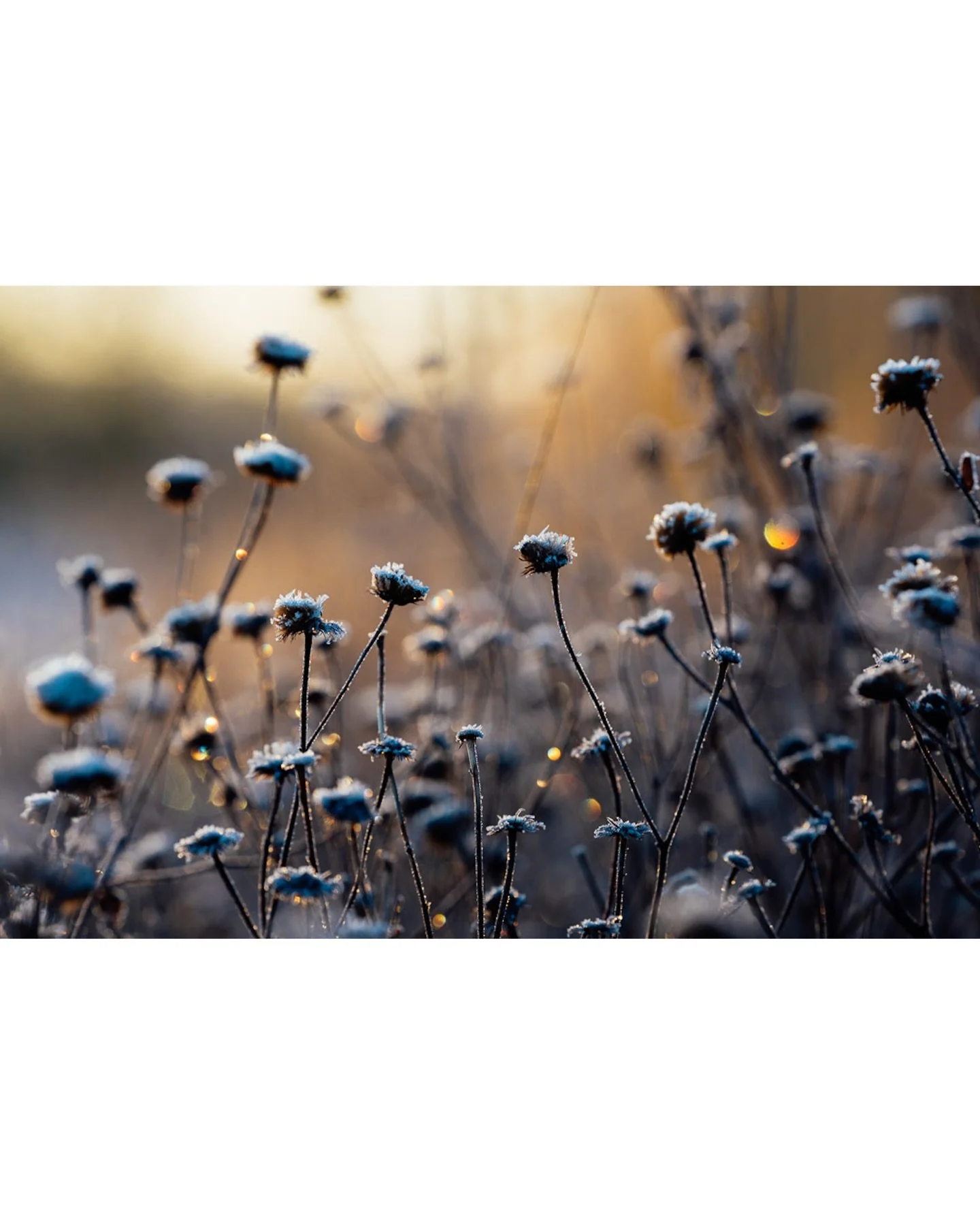 It&rsquo;s safe to say that many of us are still feeling our way into the new year. 

This is just a reminder that if you&rsquo;ve got any photography or content creation ideas for the new year then get in touch. 

I can be left to my own devices whe