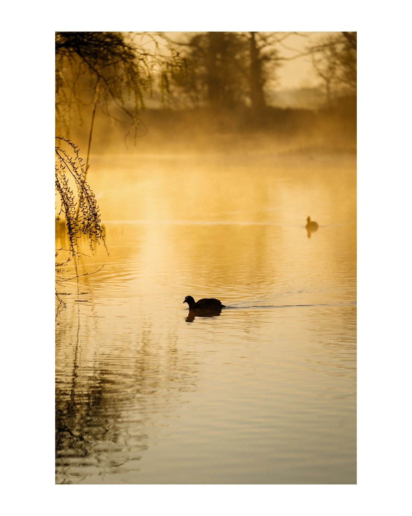 Slowly does it. Things are finally starting to reappear after a long winter. You know, birds, plants, photography clients. 😉

I&rsquo;ve been developing new skills and ideas for this year so  there&rsquo;s a lot of good things I&rsquo;m looking forw