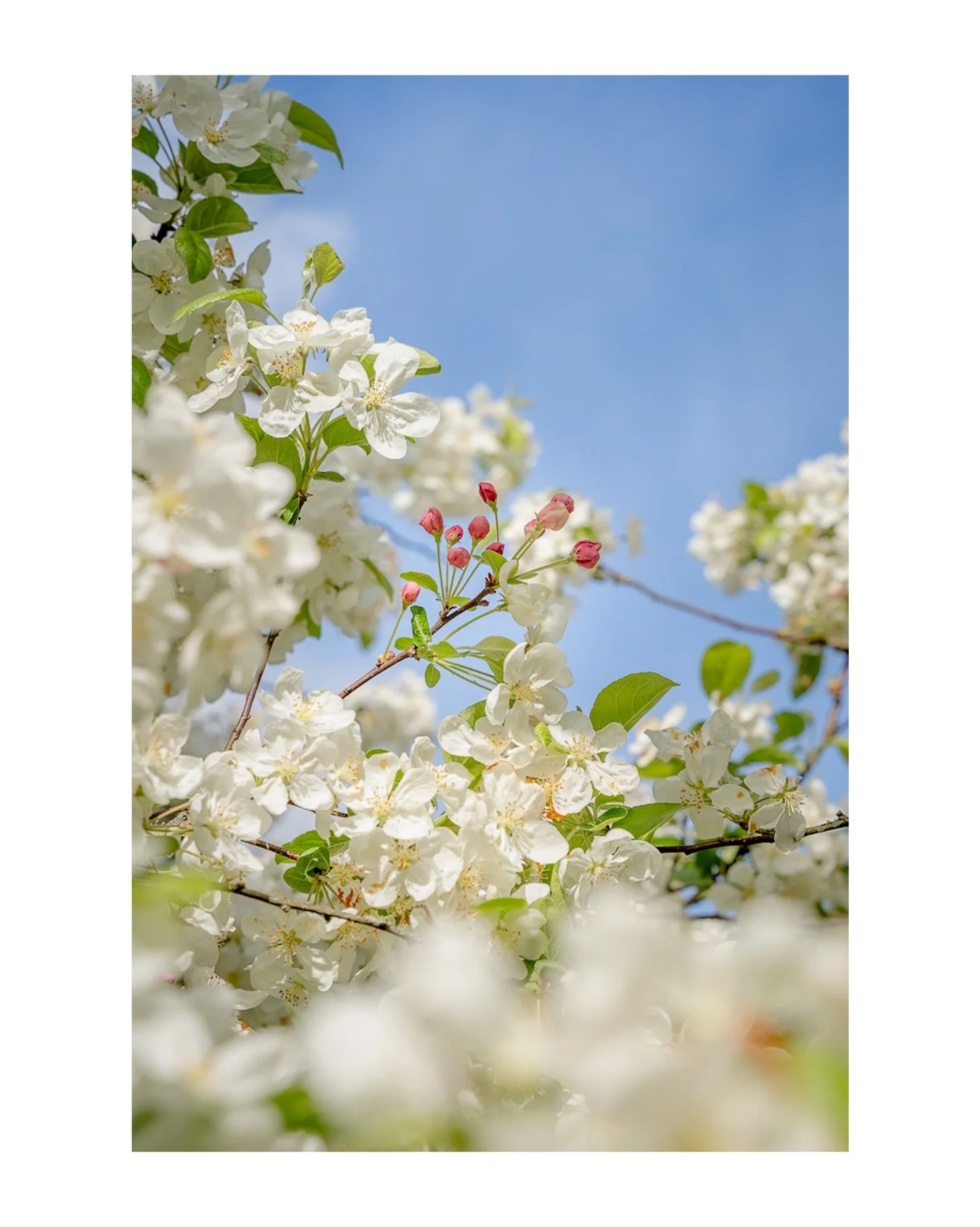 Spring is springing and these days are optimal for photoshoots. Are you ready to book me in whilst the going is good? ☀️

I love to work with Surrey/Sussex businesses to encourage people to shop locally and support small business. ⚖️

Come and say he