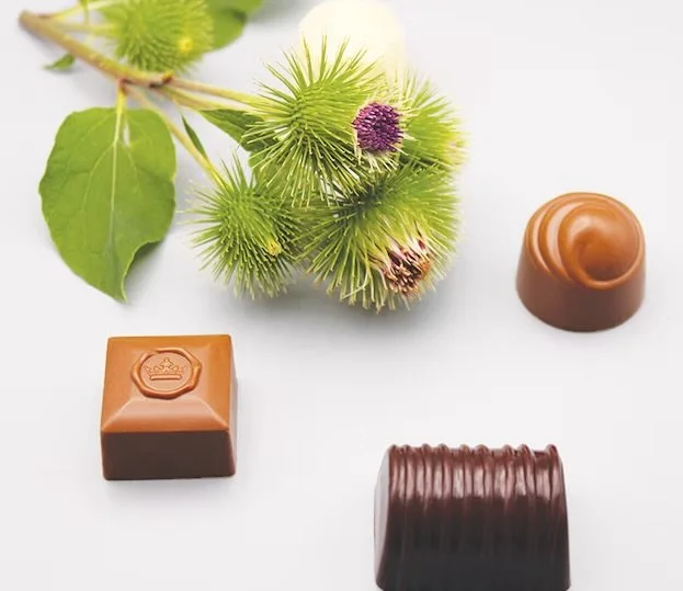The Chocolate Fox