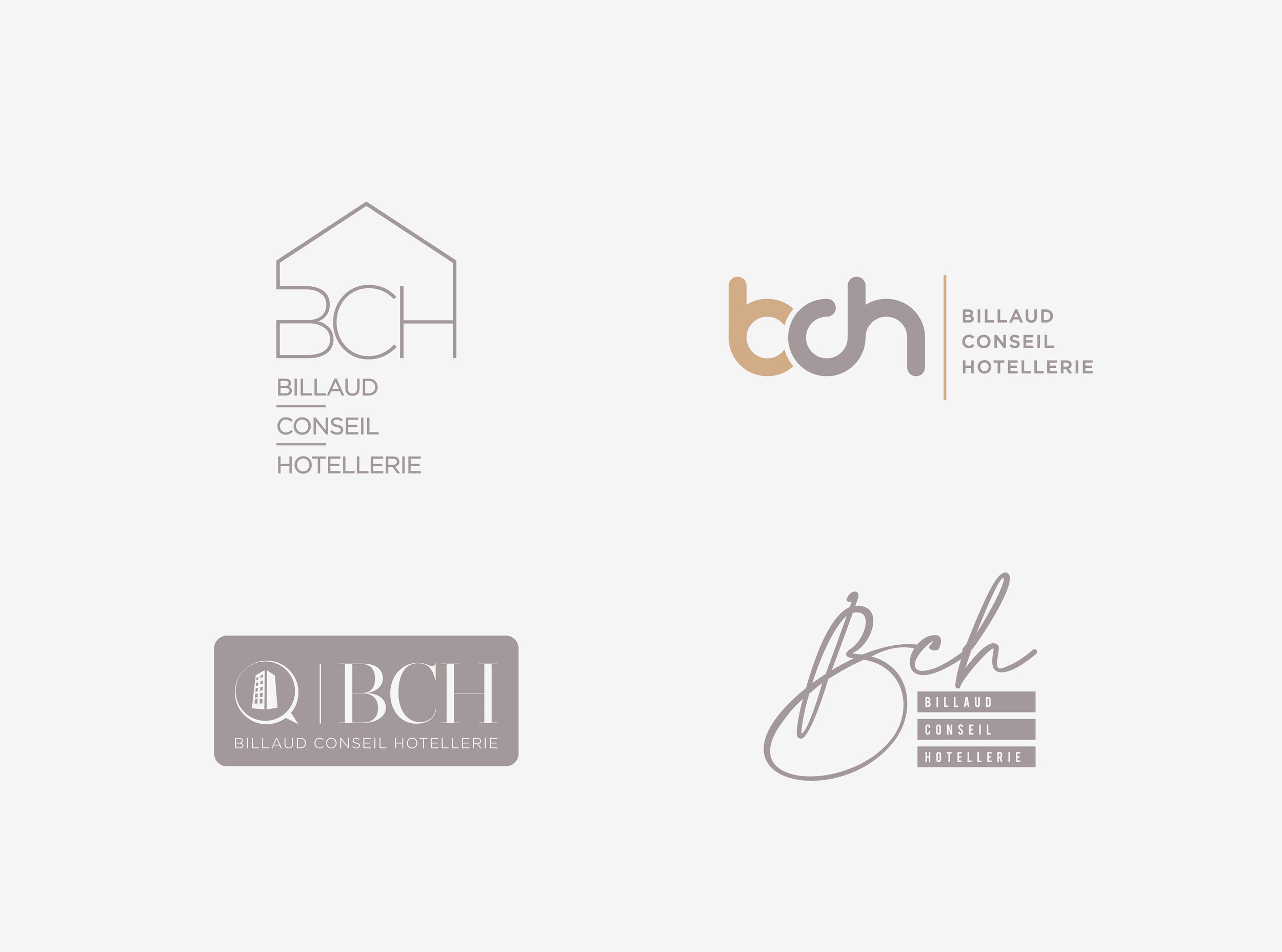 Identité visuelle BCH - Recherches logos