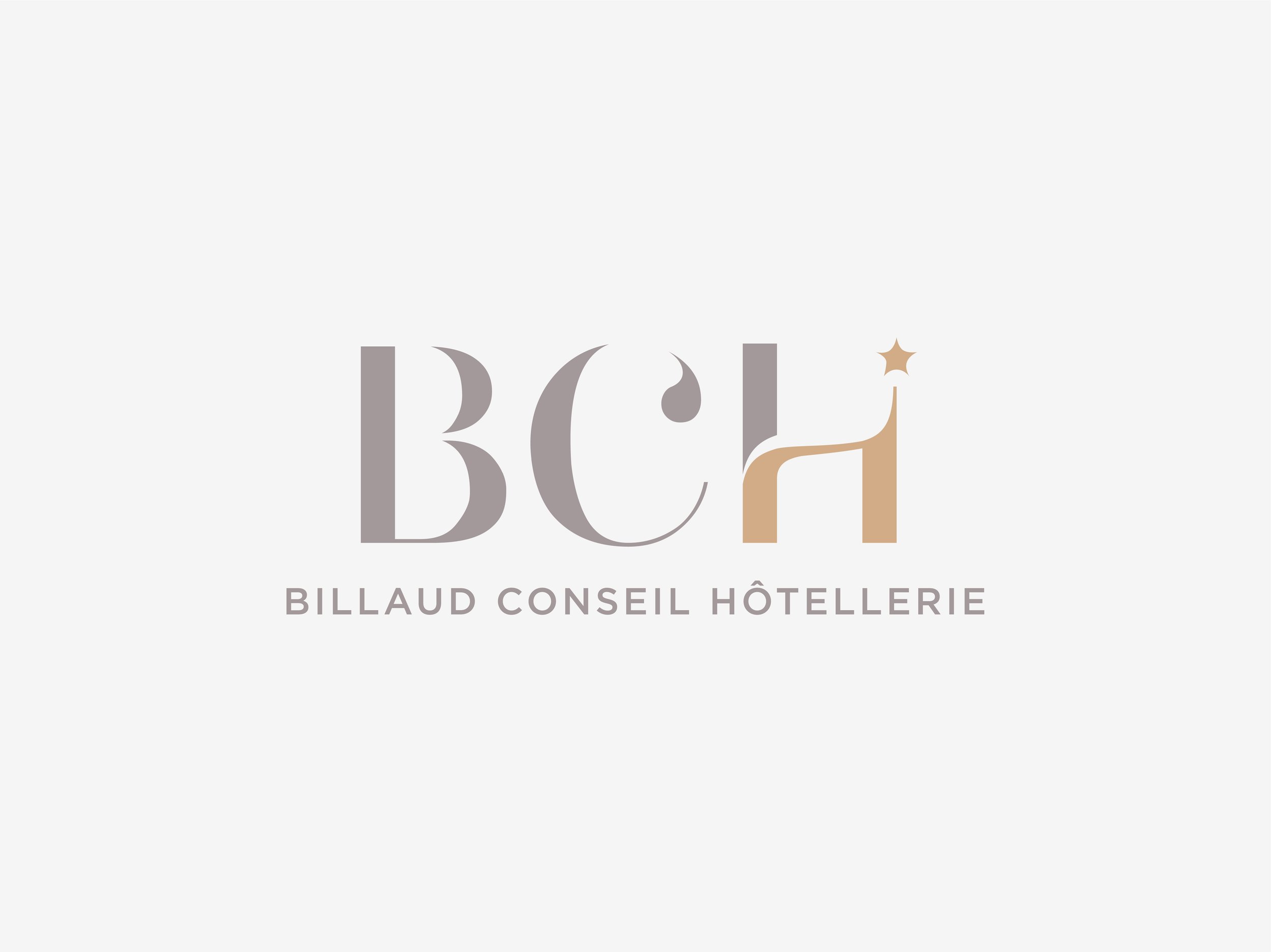 Identité visuelle BCH - Logo final