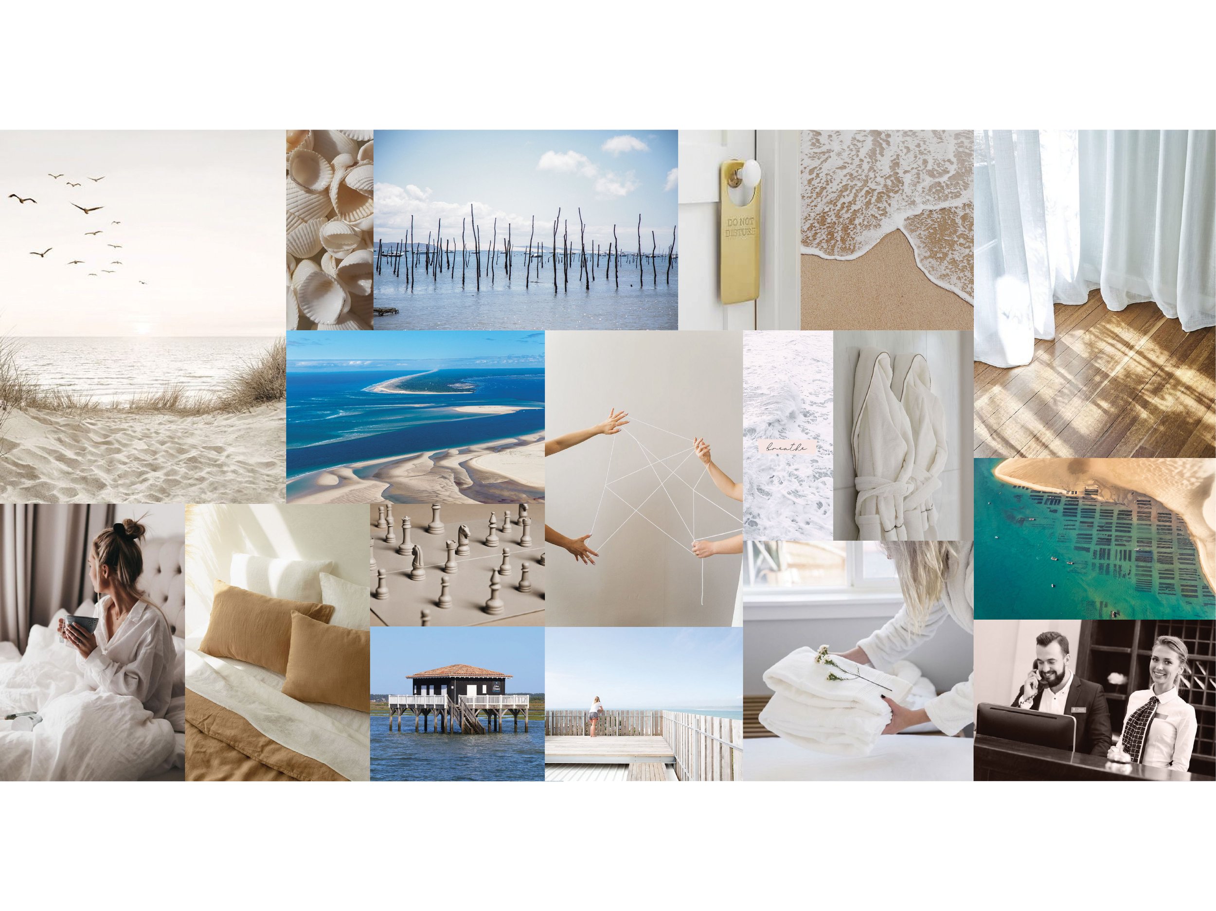 Identité visuelle BCH - Moodboard