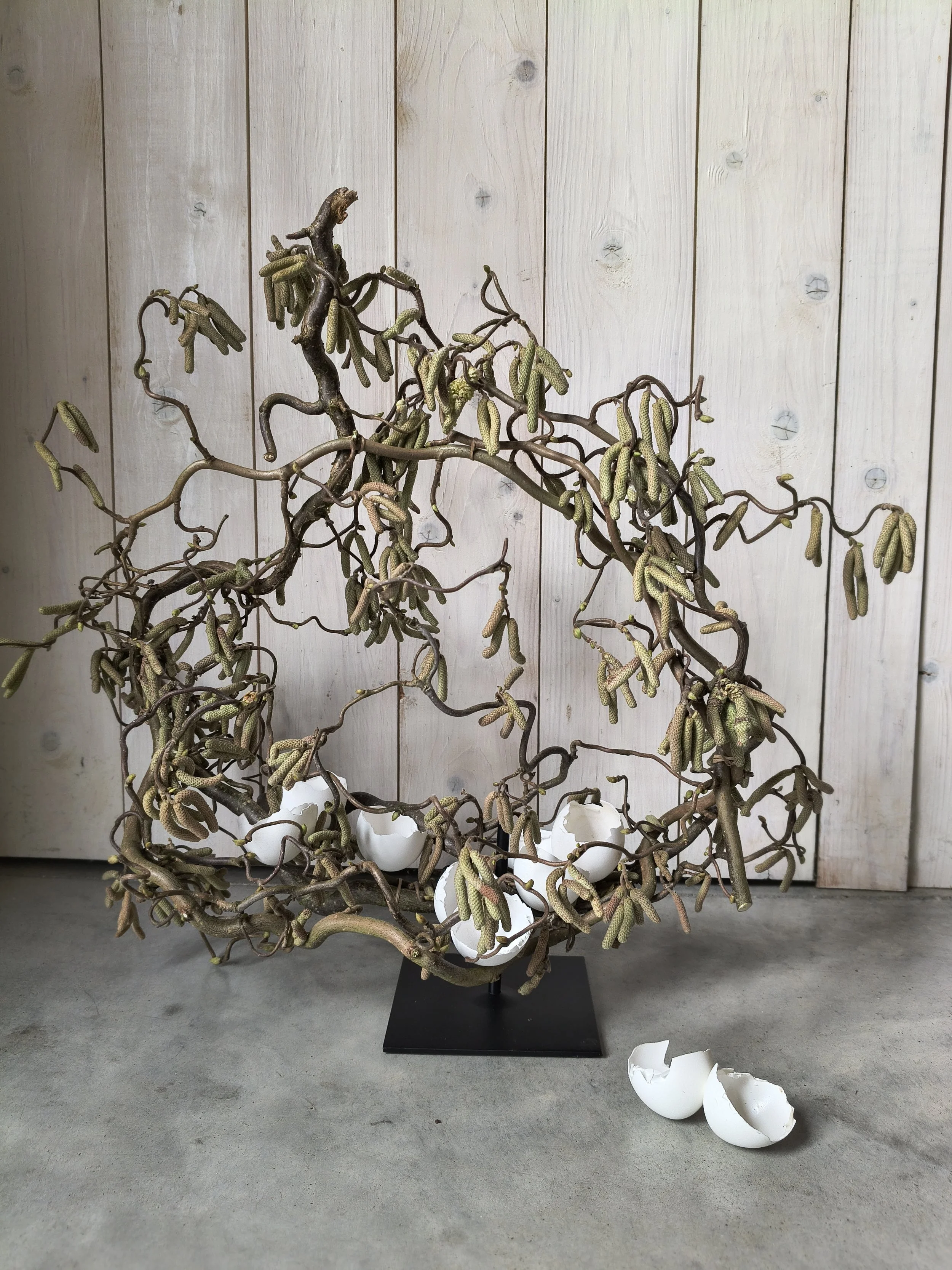 takkenkrans van kronkelhazelaar op voet