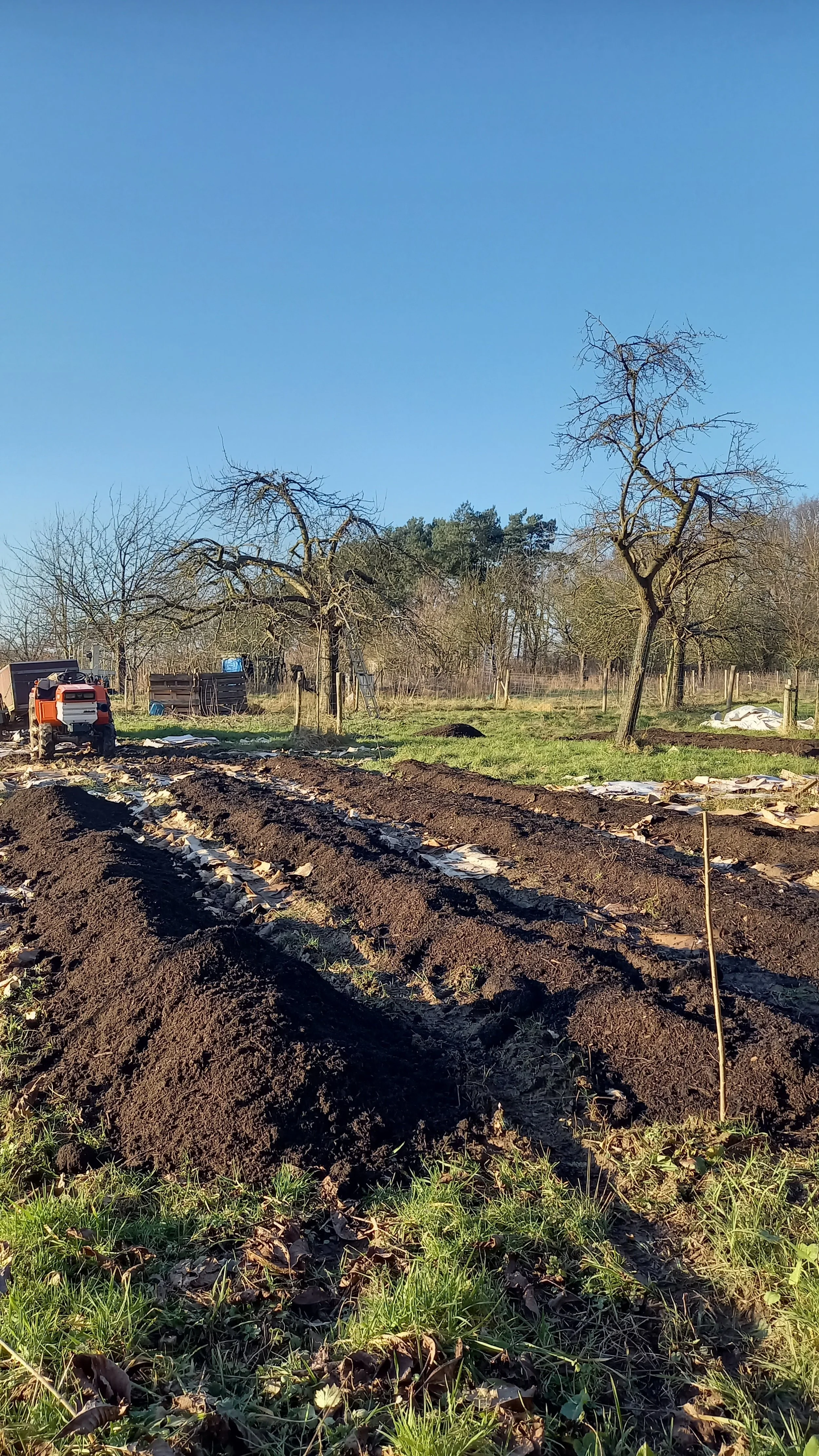 aanleg bloemenpanden.jpg