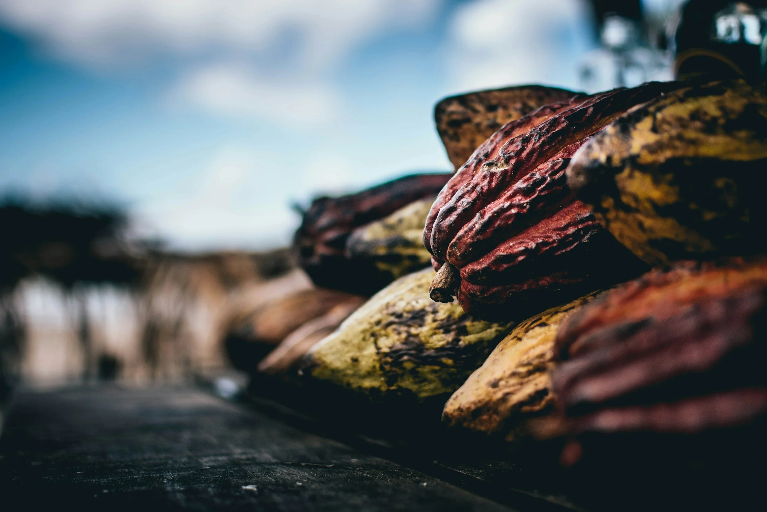 Cacao Ceremony & Somatic Grief Release