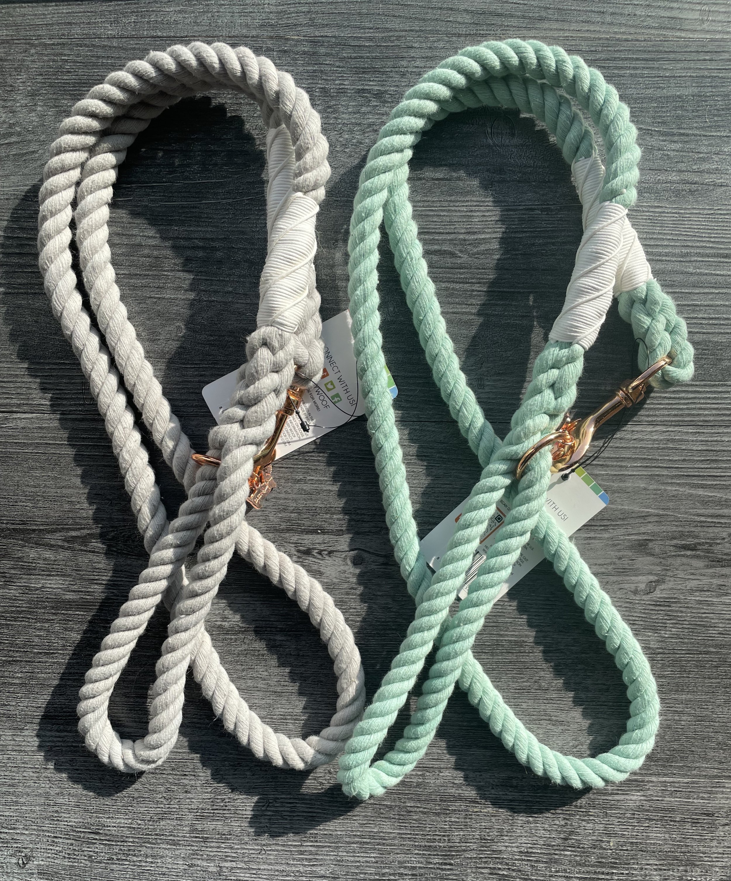 Leashes 2.jpg
