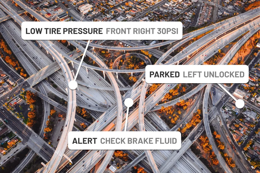 Standard Fleet Effortless Ev Fleet Management